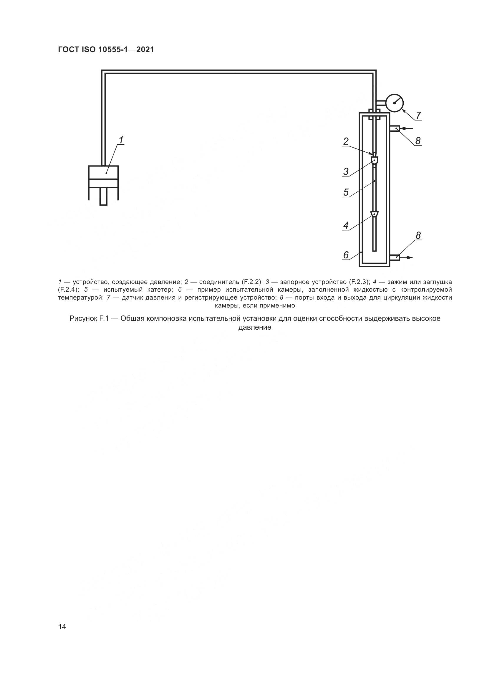 ГОСТ ISO 10555-1-2021, страница 19