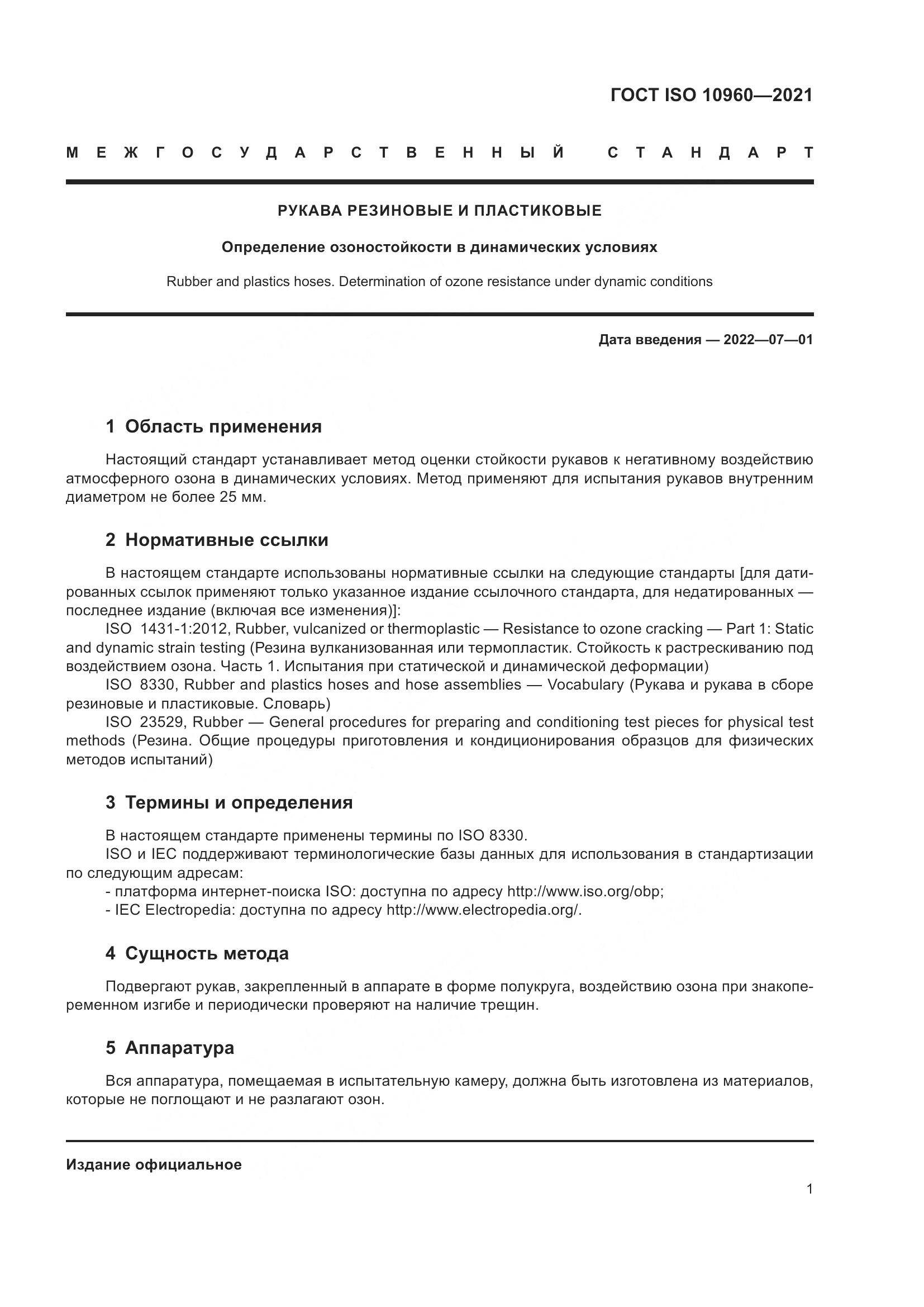 ГОСТ ISO 10960-2021, страница 4