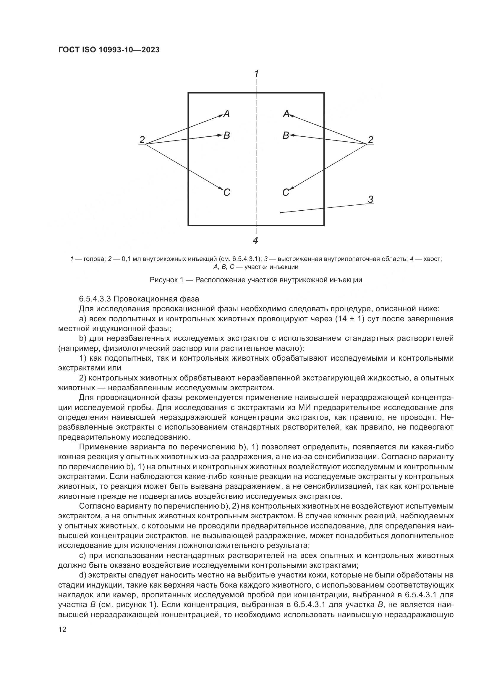 ГОСТ ISO 10993-10-2023, страница 19