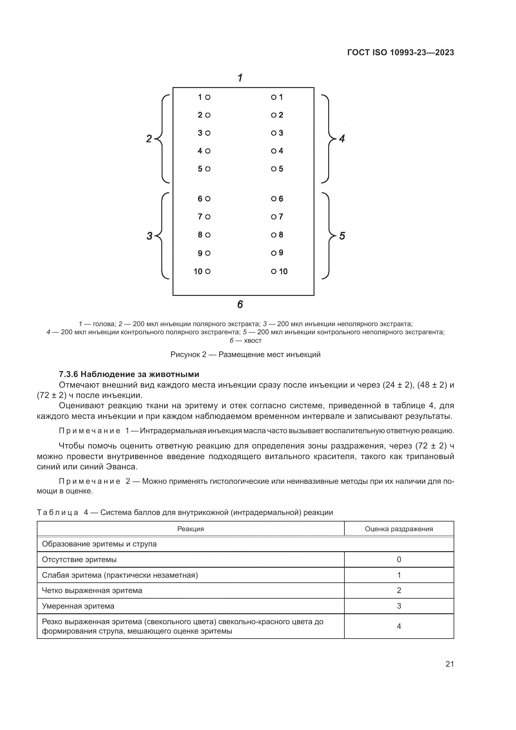 ГОСТ ISO 10993-23-2023, страница 28