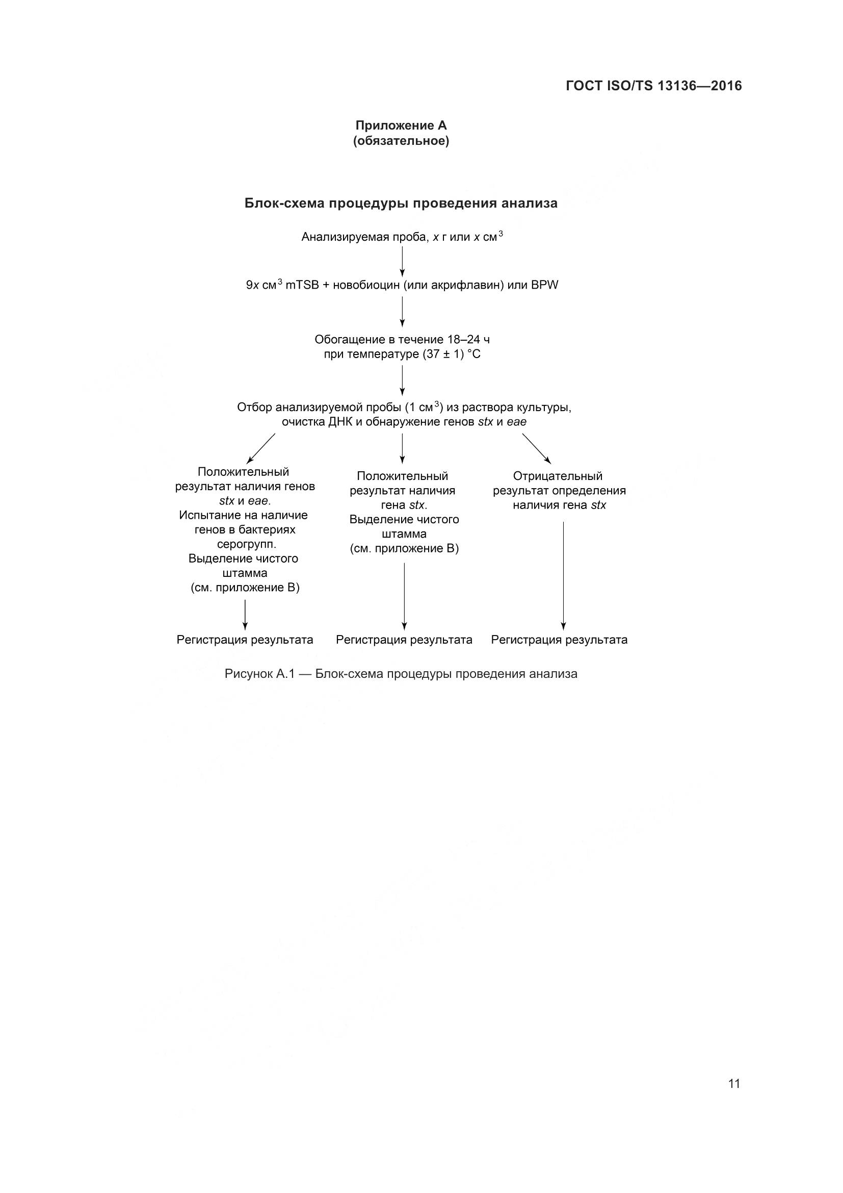 ГОСТ ISO/TS 13136-2016, страница 16