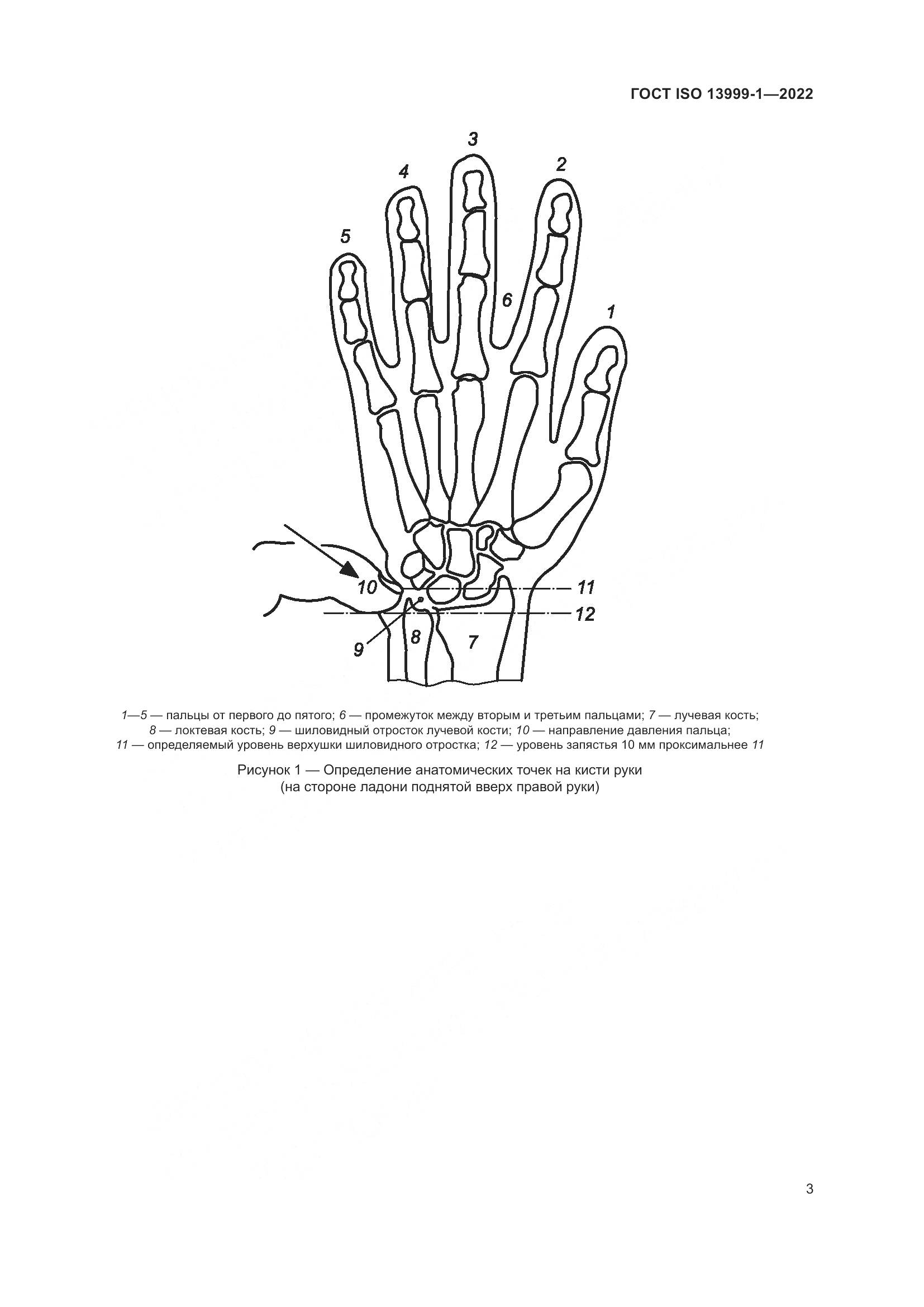 ГОСТ ISO 13999-1-2022, страница 9