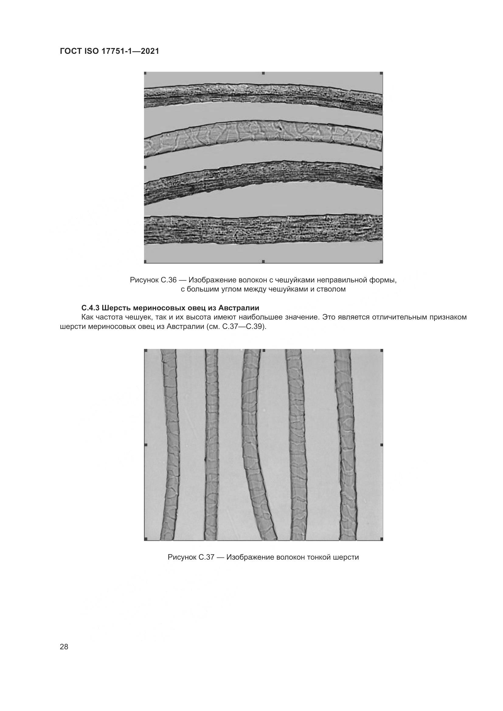 ГОСТ ISO 17751-1-2021, страница 36