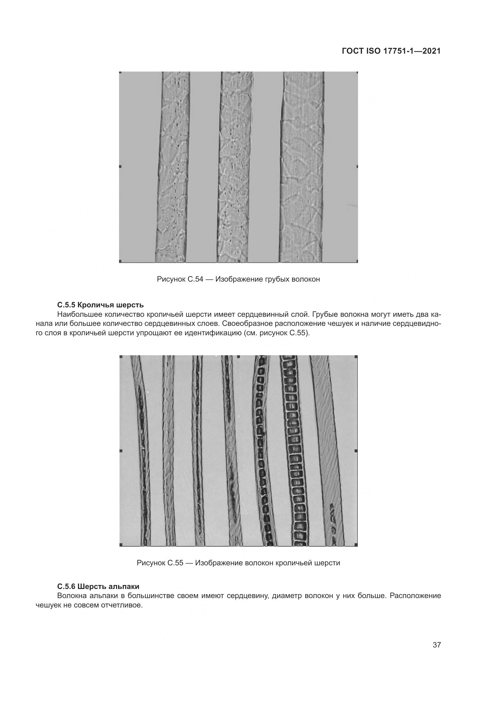 ГОСТ ISO 17751-1-2021, страница 45
