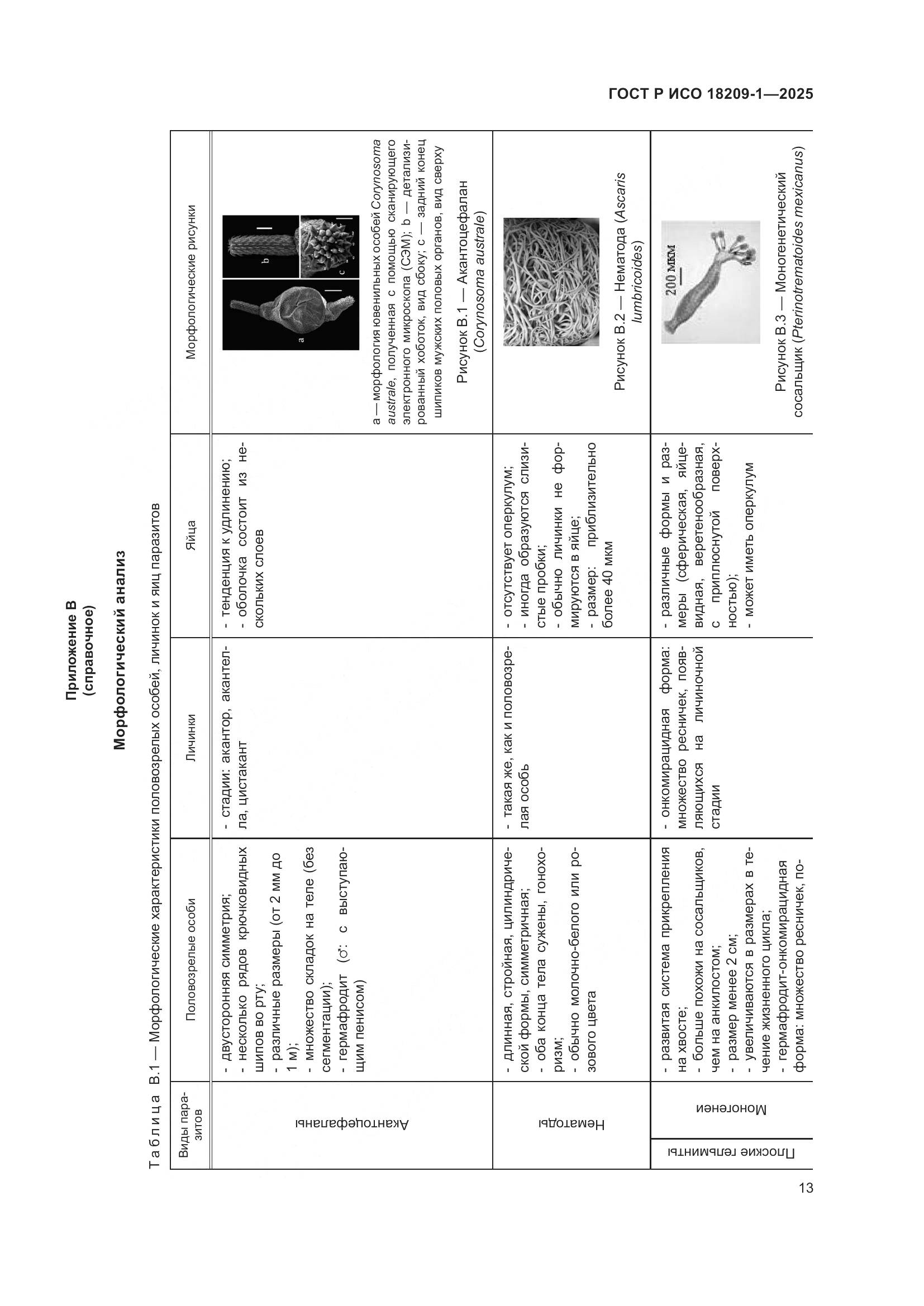 ГОСТ Р ИСО 18209-1-2025, страница 17