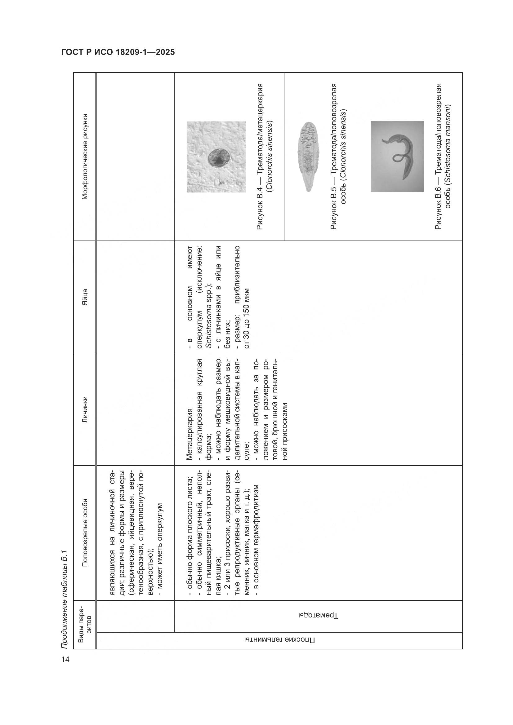 ГОСТ Р ИСО 18209-1-2025, страница 18