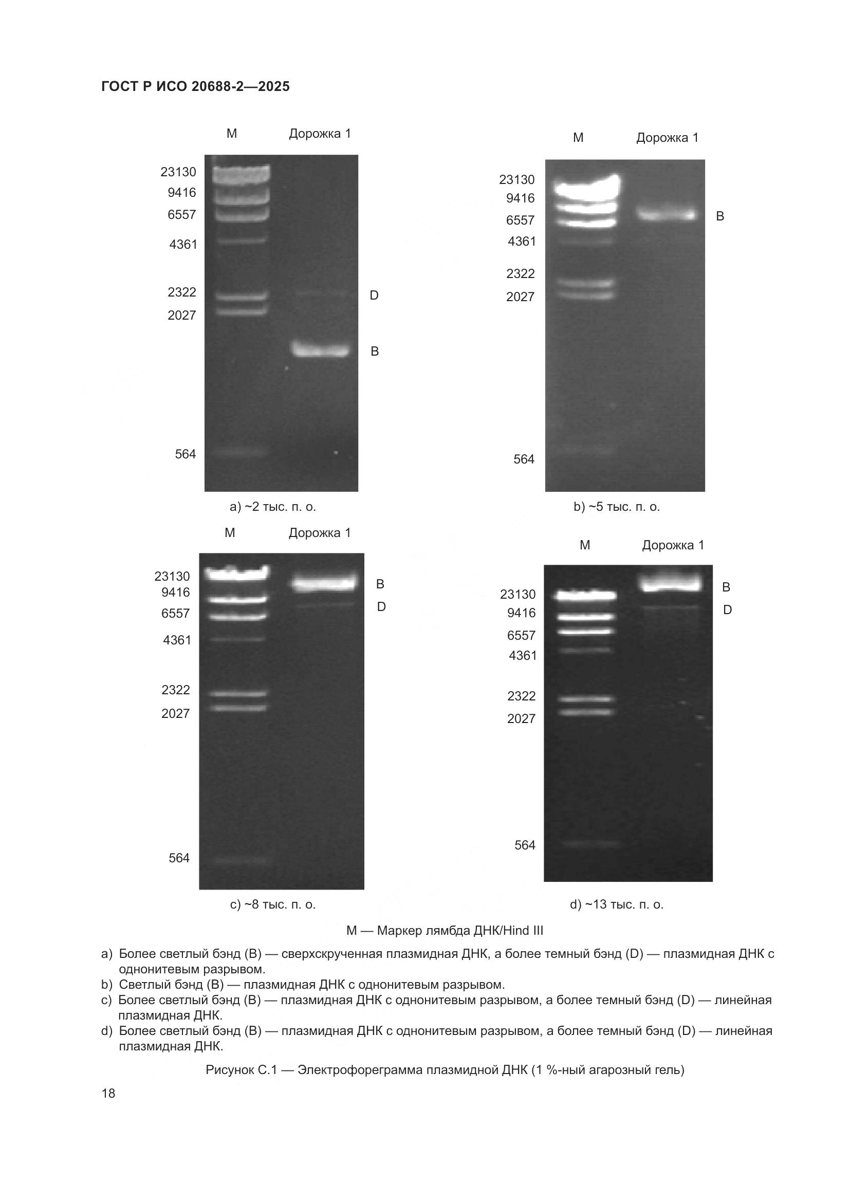 ГОСТ Р ИСО 20688-2-2025, страница 22