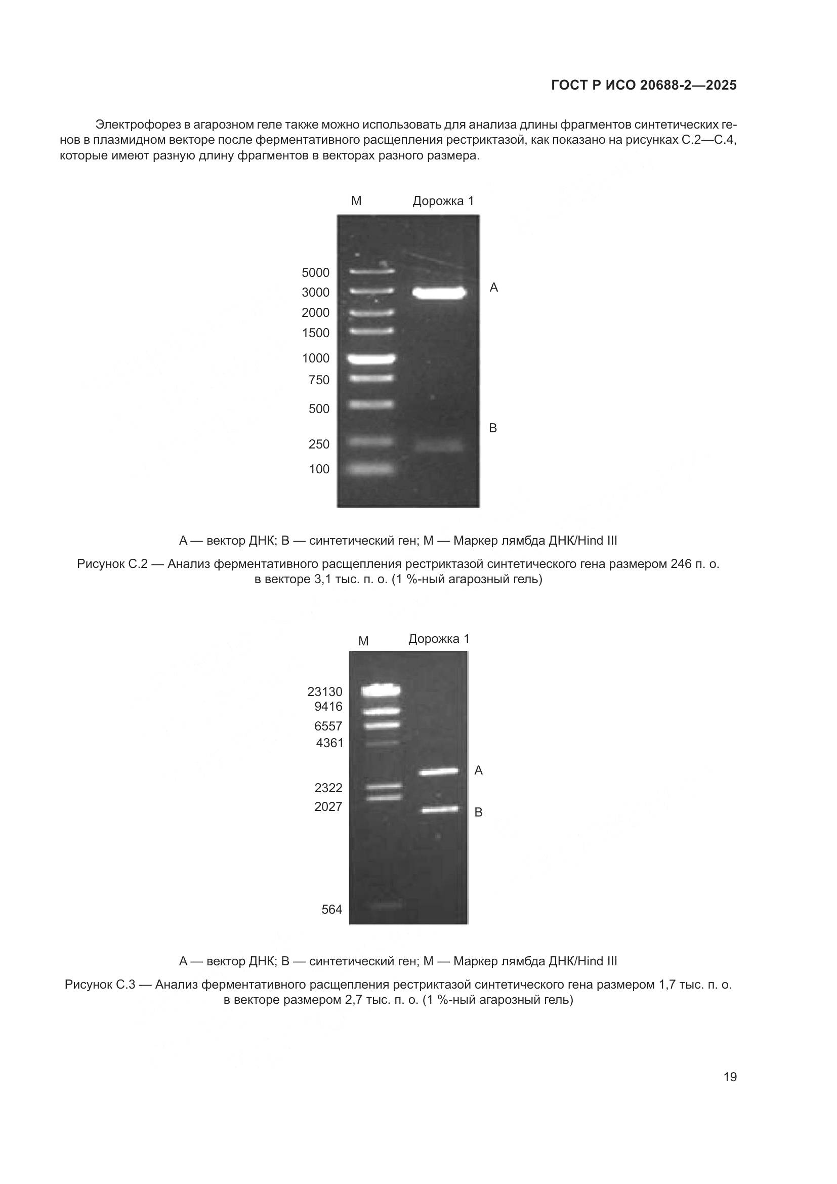 ГОСТ Р ИСО 20688-2-2025, страница 23