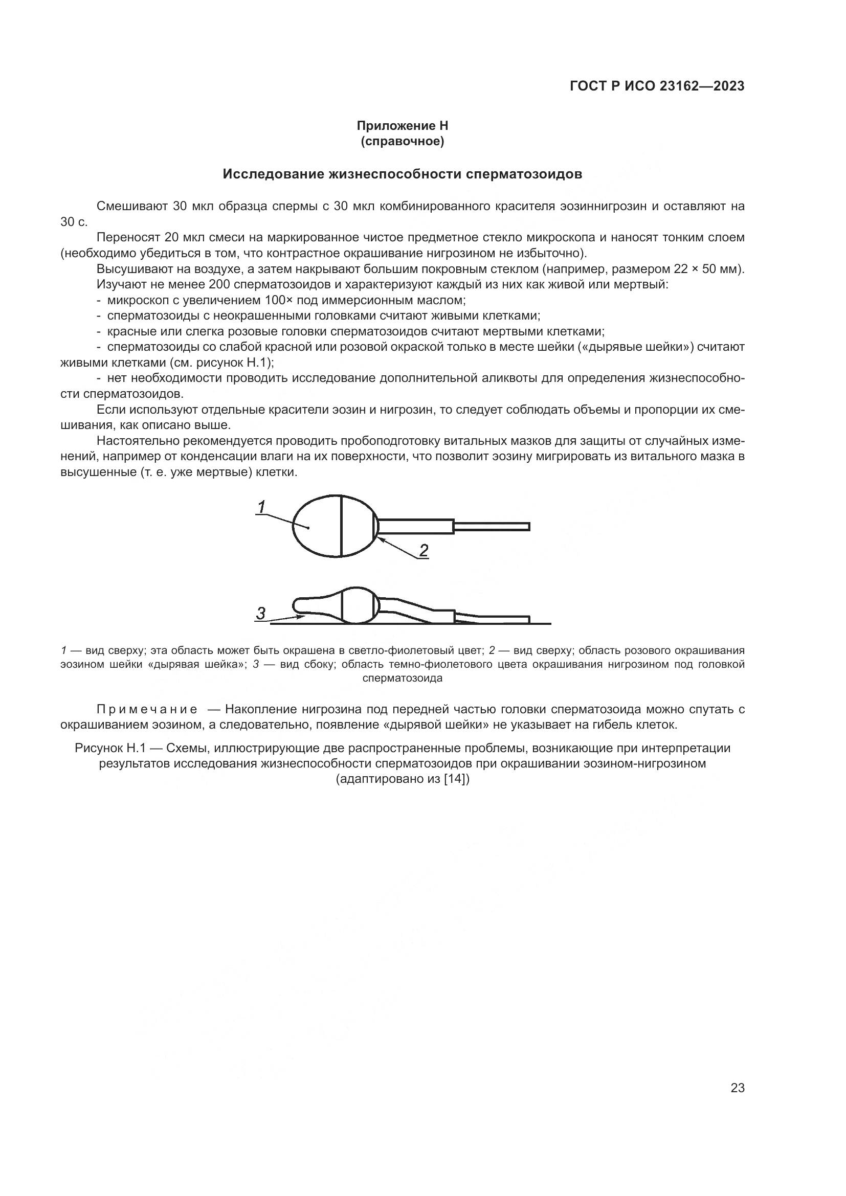 ГОСТ Р ИСО 23162-2023, страница 27