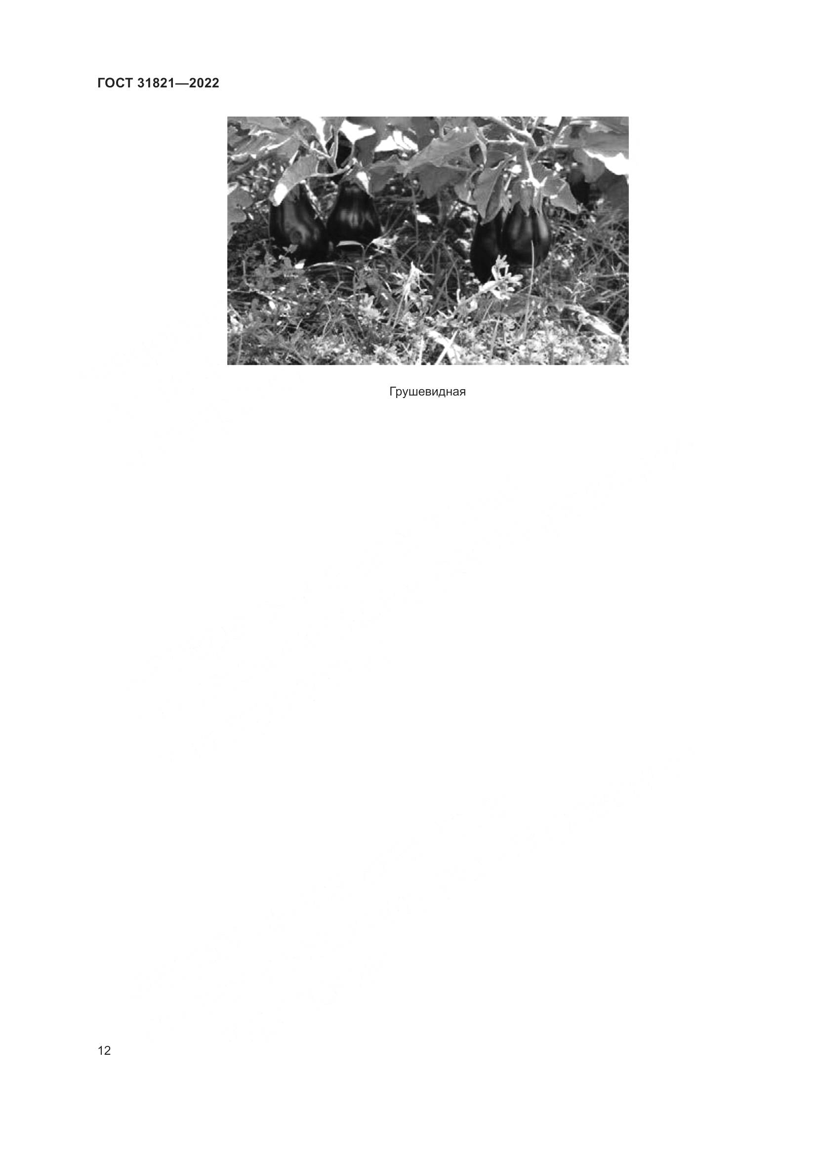 ГОСТ 31821-2022, страница 16