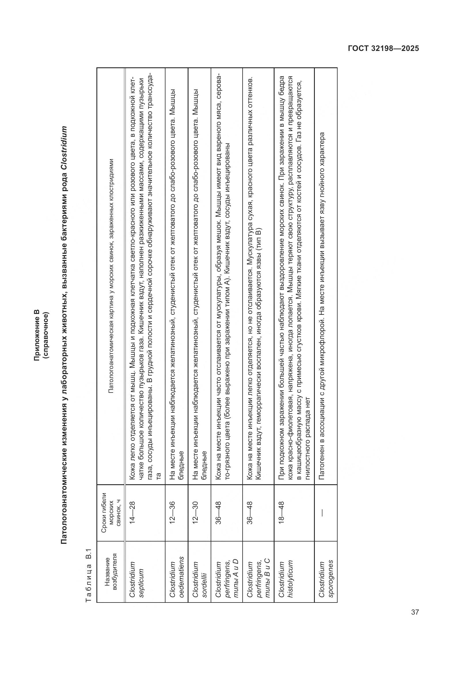 ГОСТ 32198-2025, страница 41