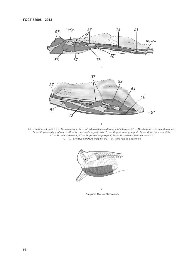 ГОСТ 32606-2013, страница 74