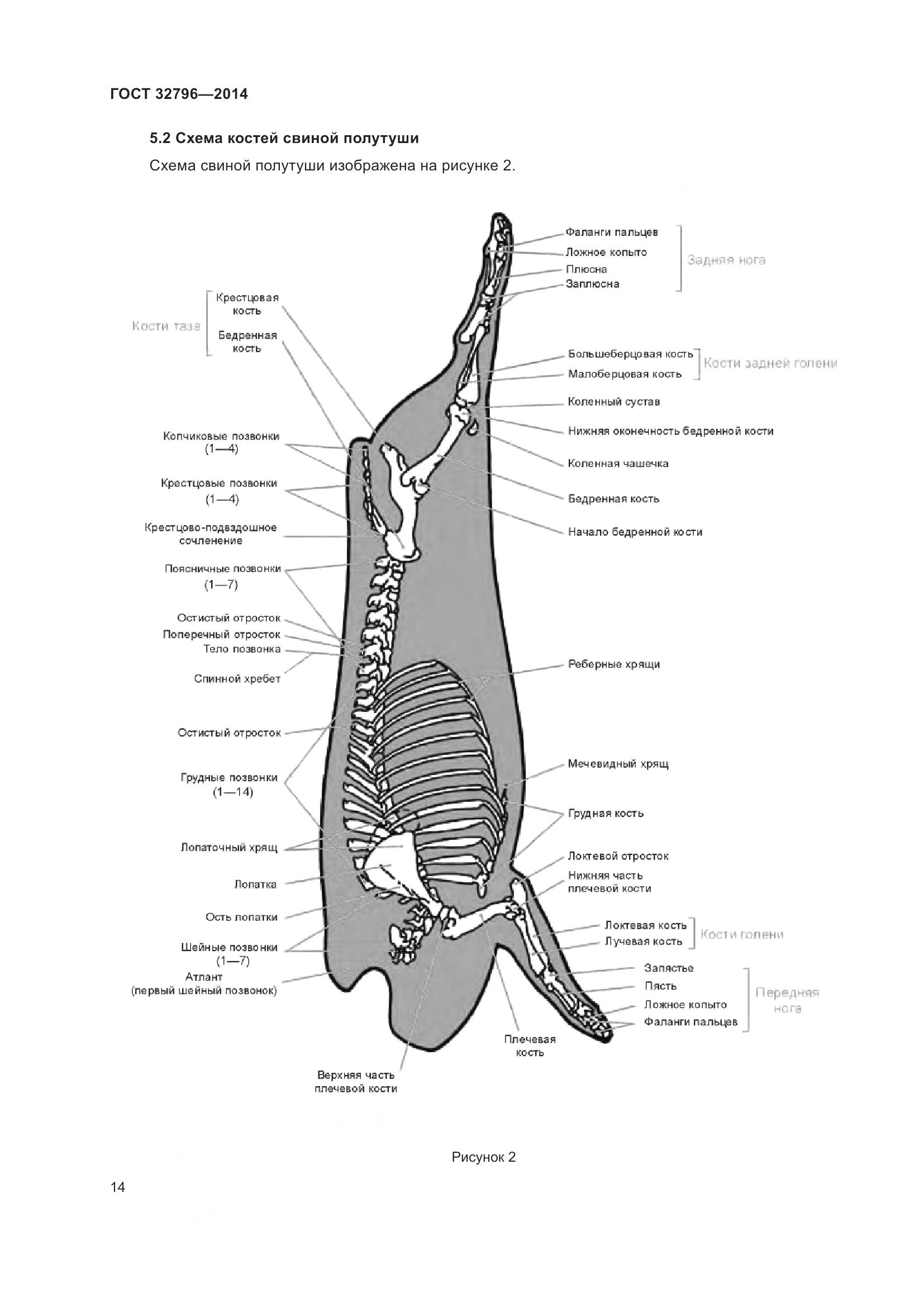 ГОСТ 32796-2014, страница 20