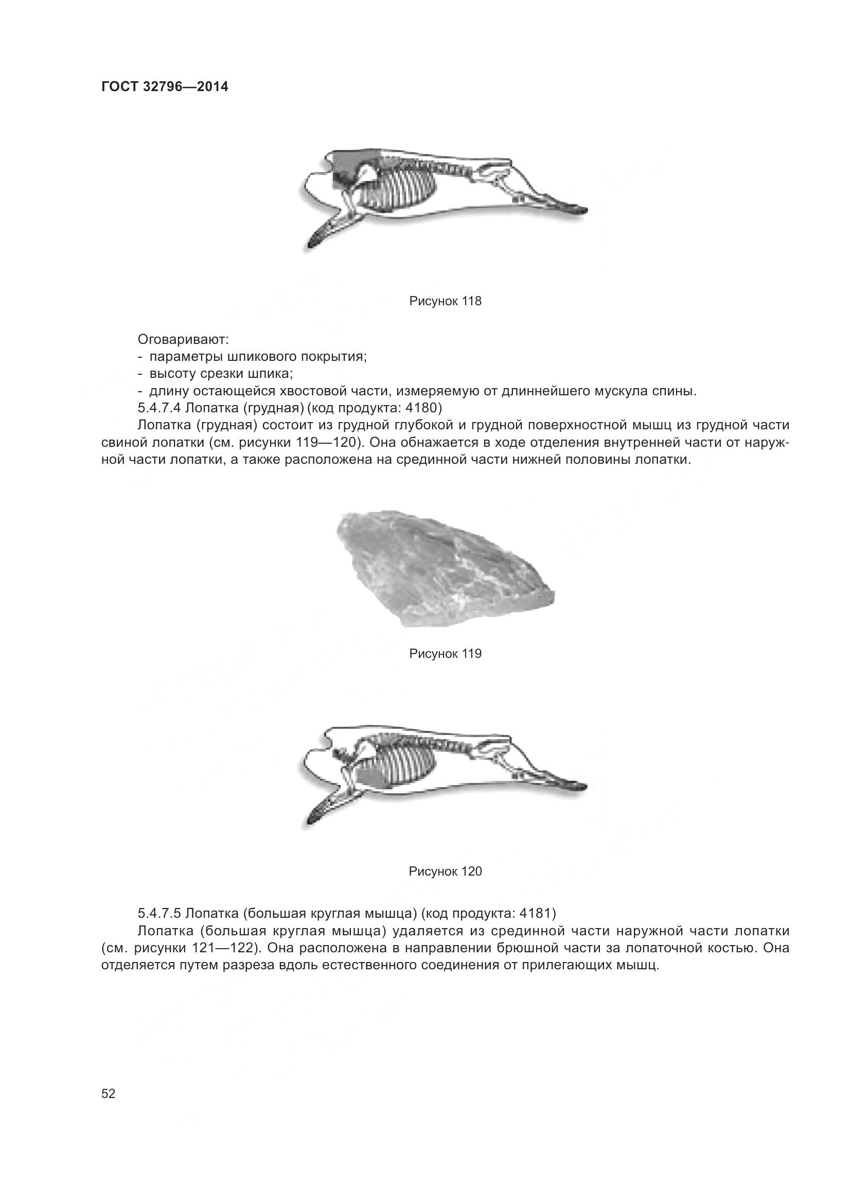 ГОСТ 32796-2014, страница 58