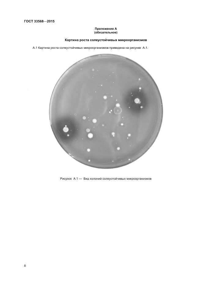 ГОСТ 33568-2015, страница 10