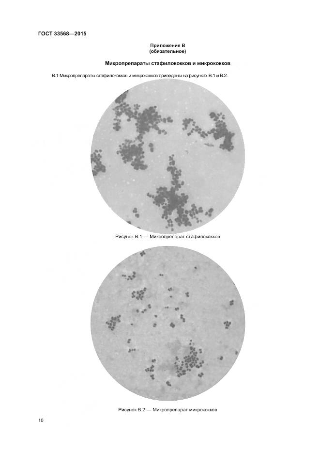 ГОСТ 33568-2015, страница 12