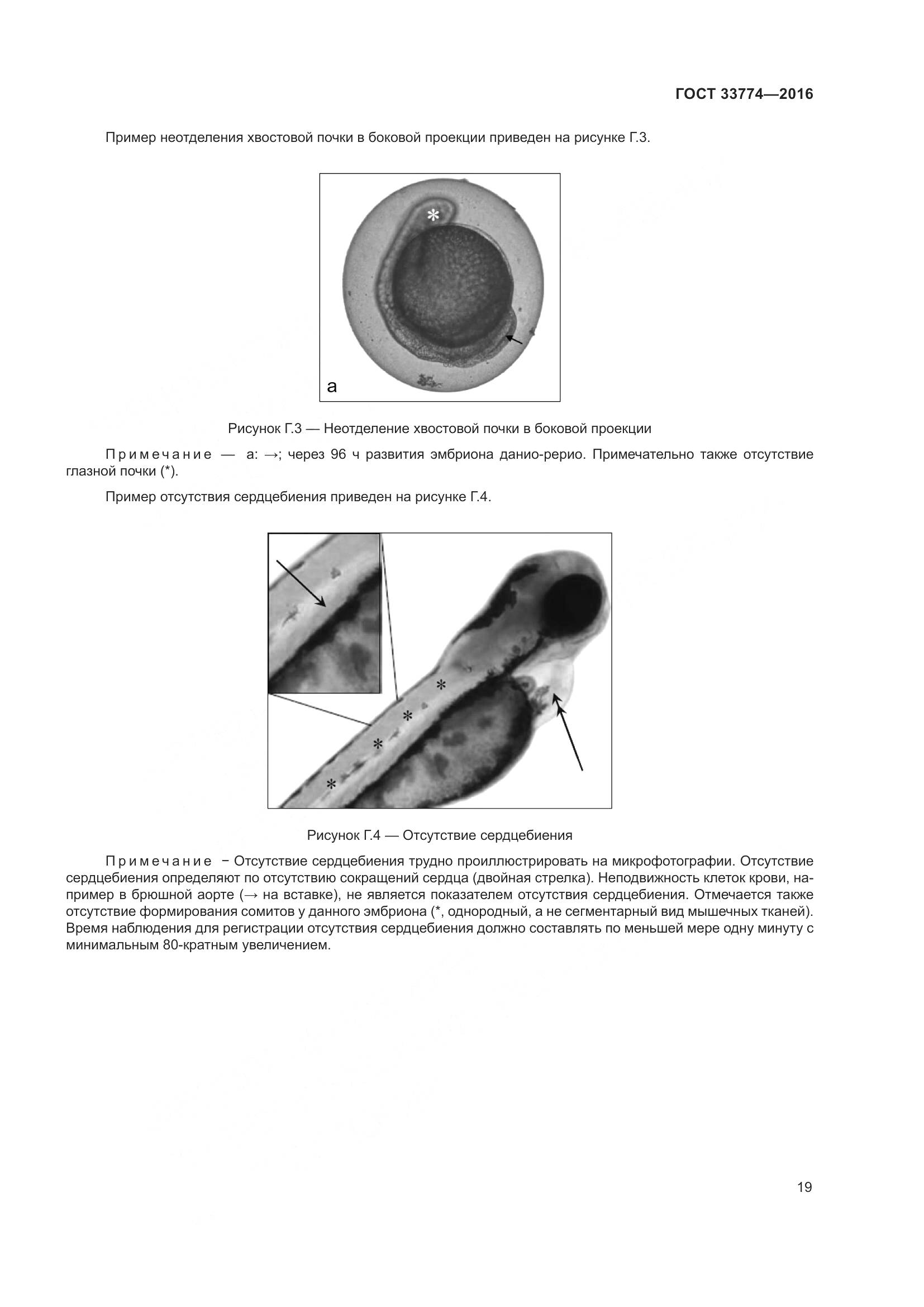 ГОСТ 33774-2016, страница 26