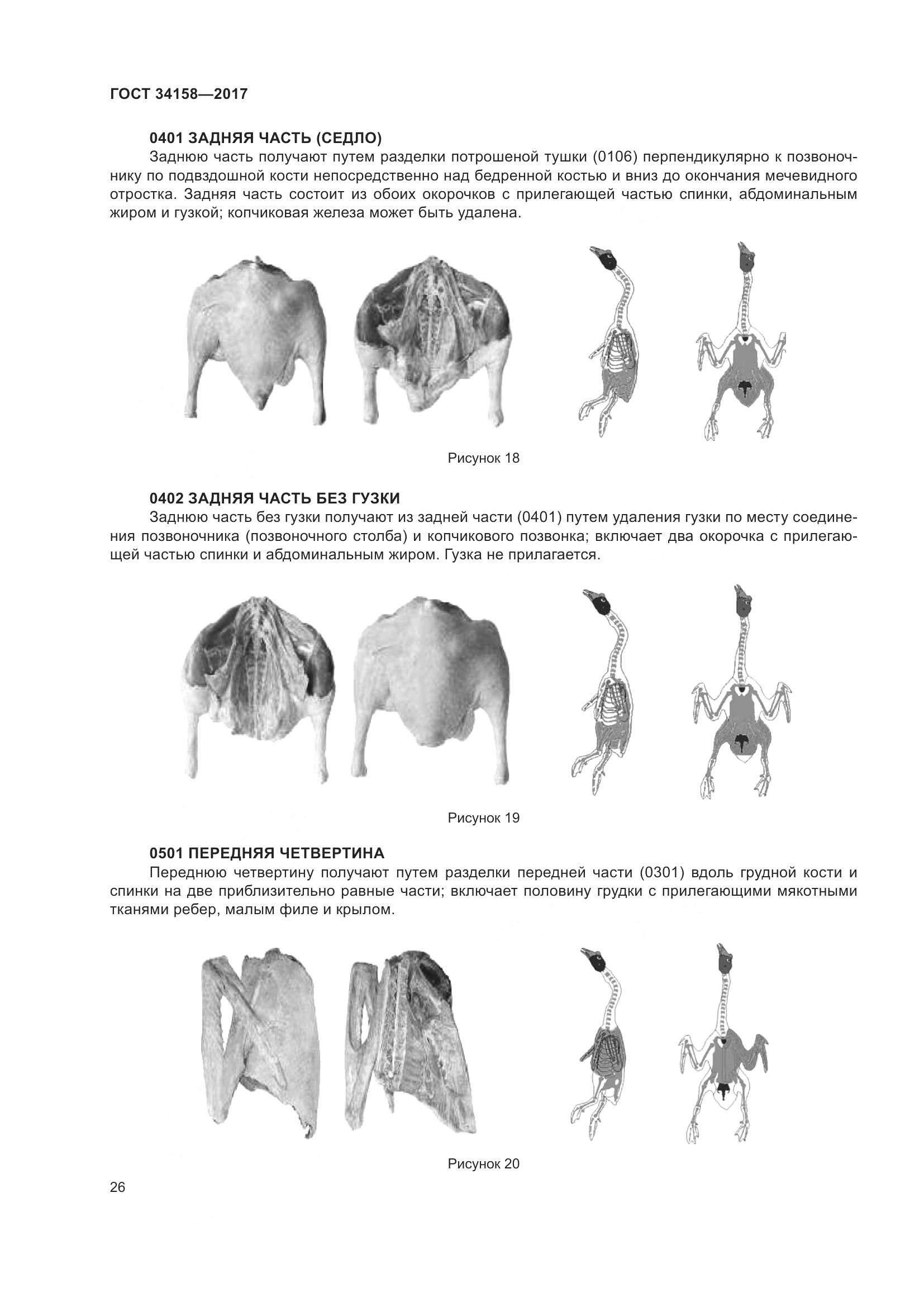 ГОСТ 34158-2017, страница 31