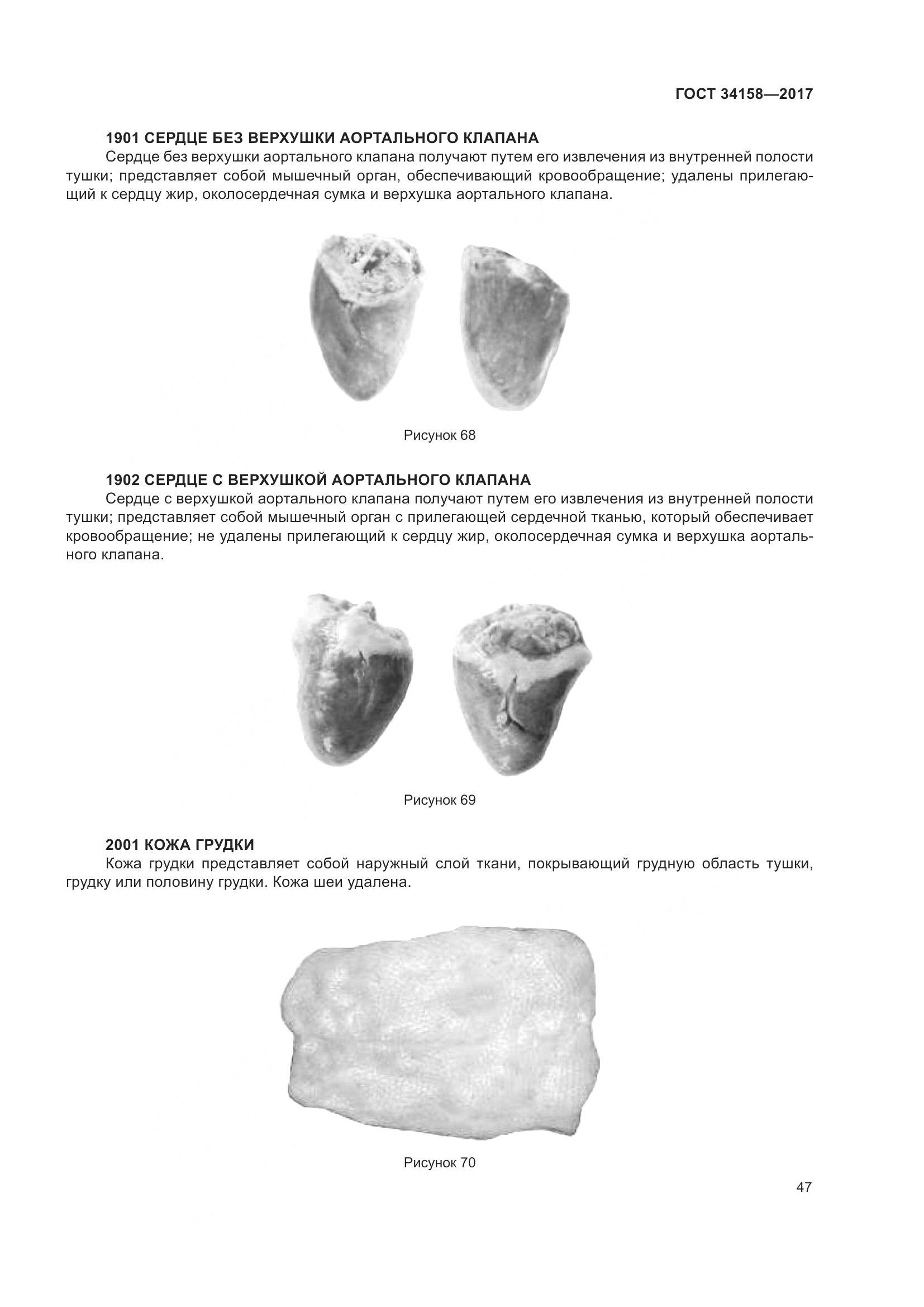 ГОСТ 34158-2017, страница 52