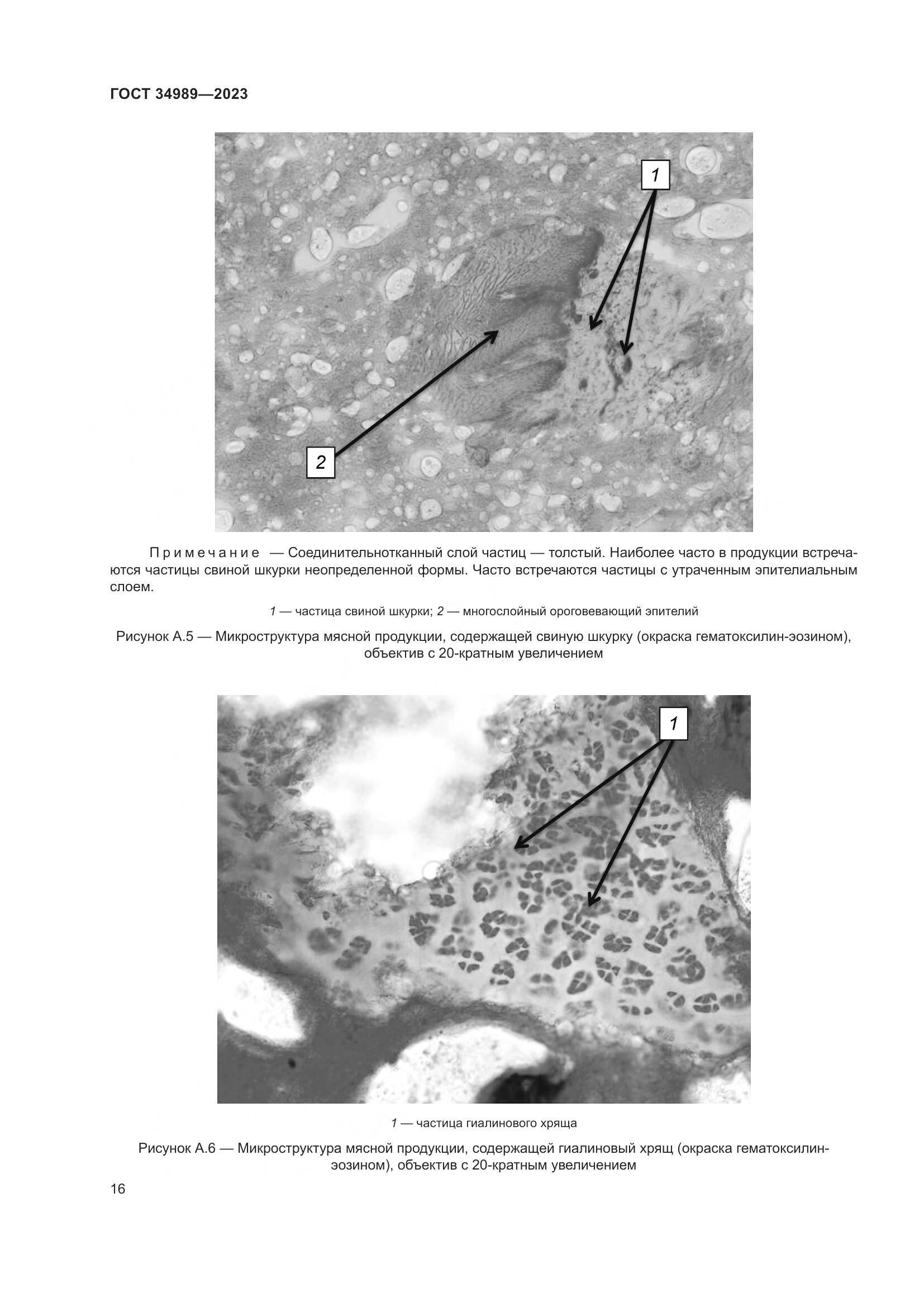 ГОСТ 34989-2023, страница 22