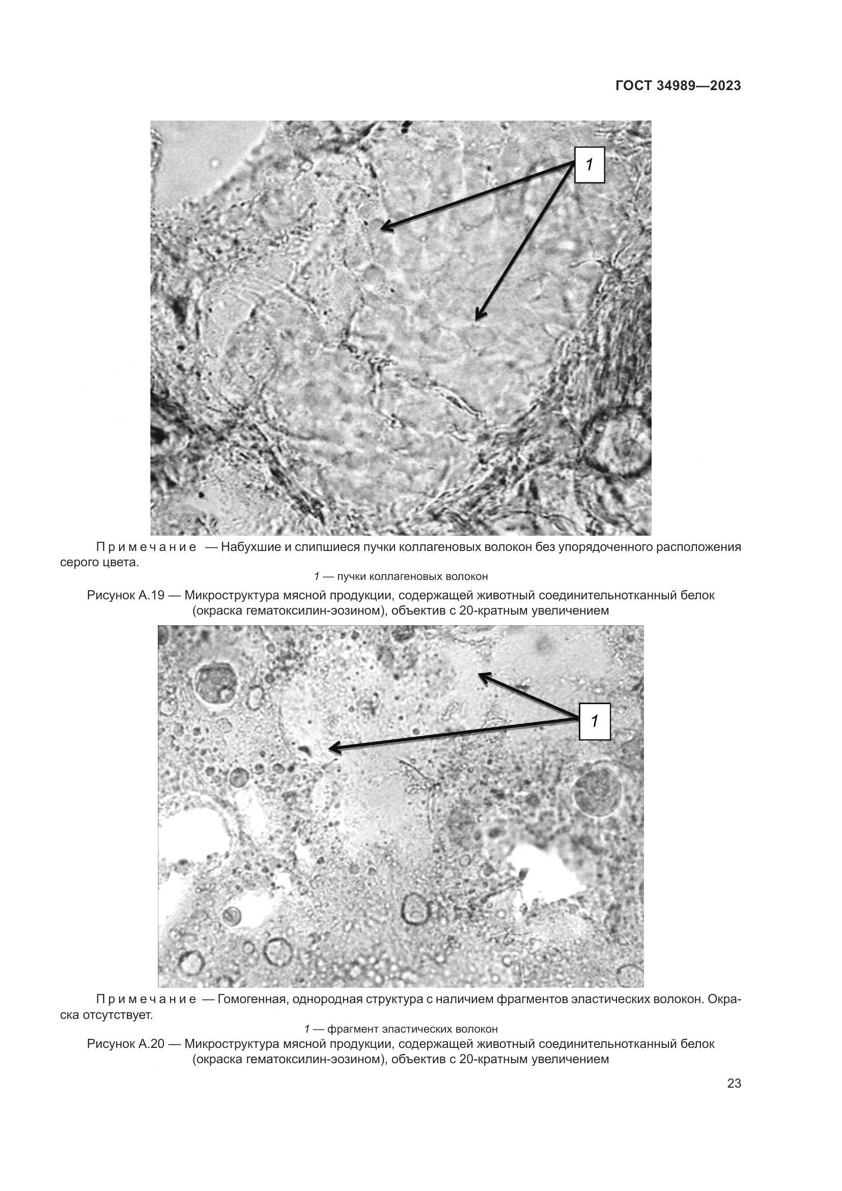 ГОСТ 34989-2023, страница 29