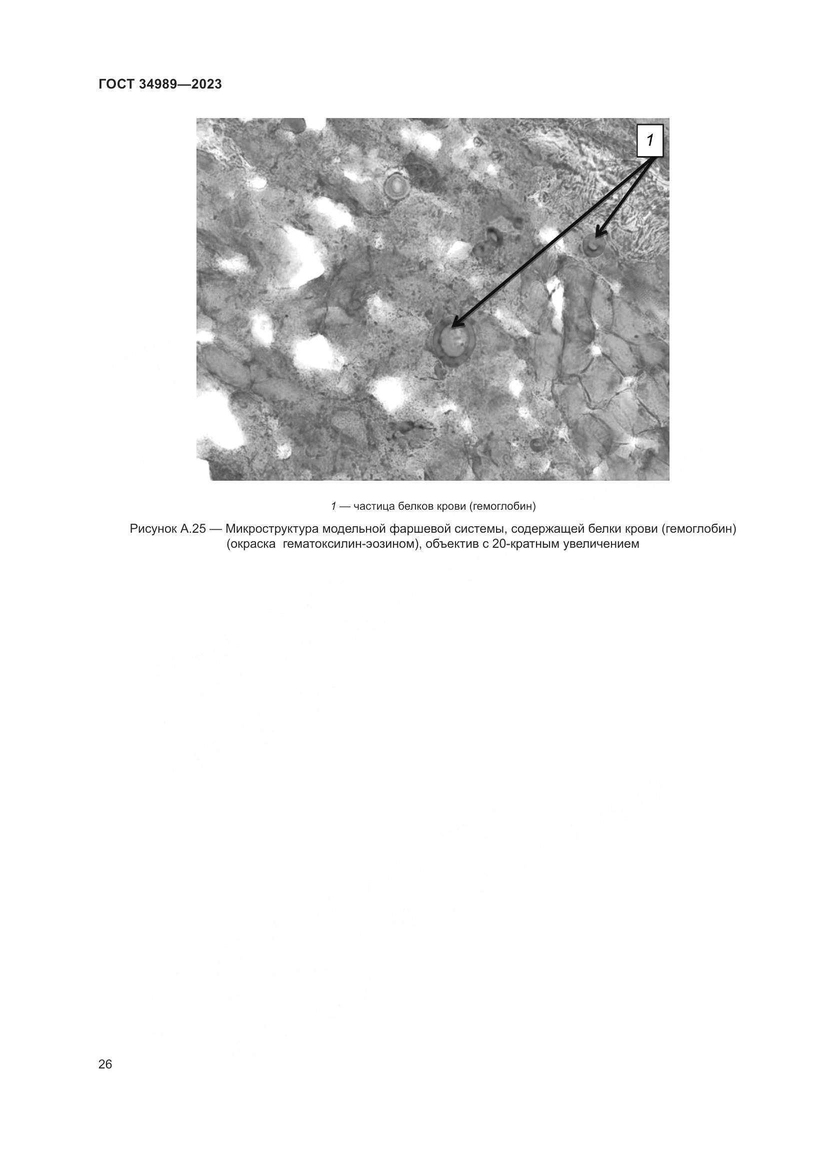 ГОСТ 34989-2023, страница 32