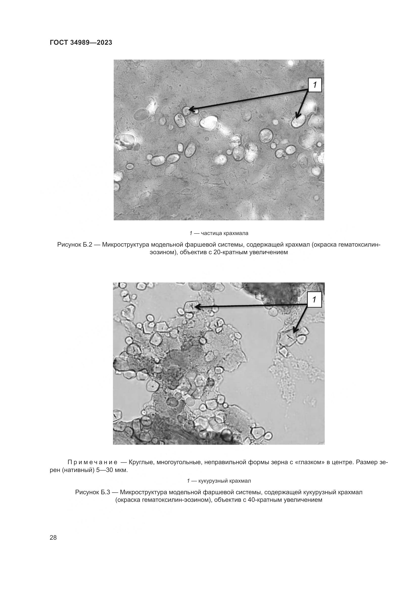 ГОСТ 34989-2023, страница 34