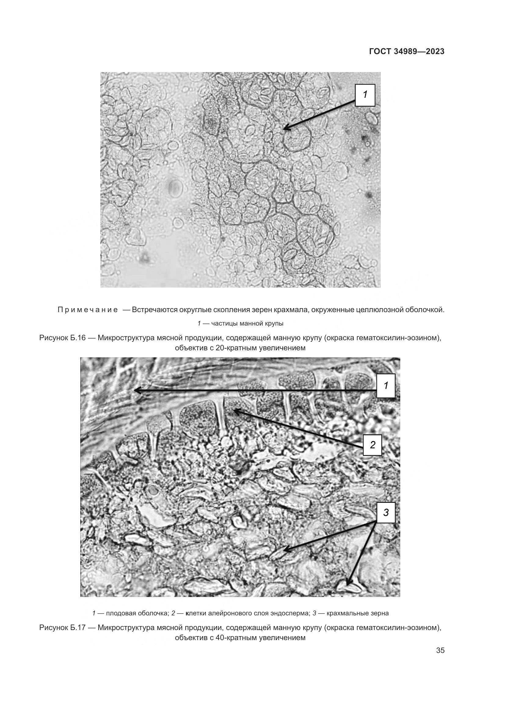 ГОСТ 34989-2023, страница 41