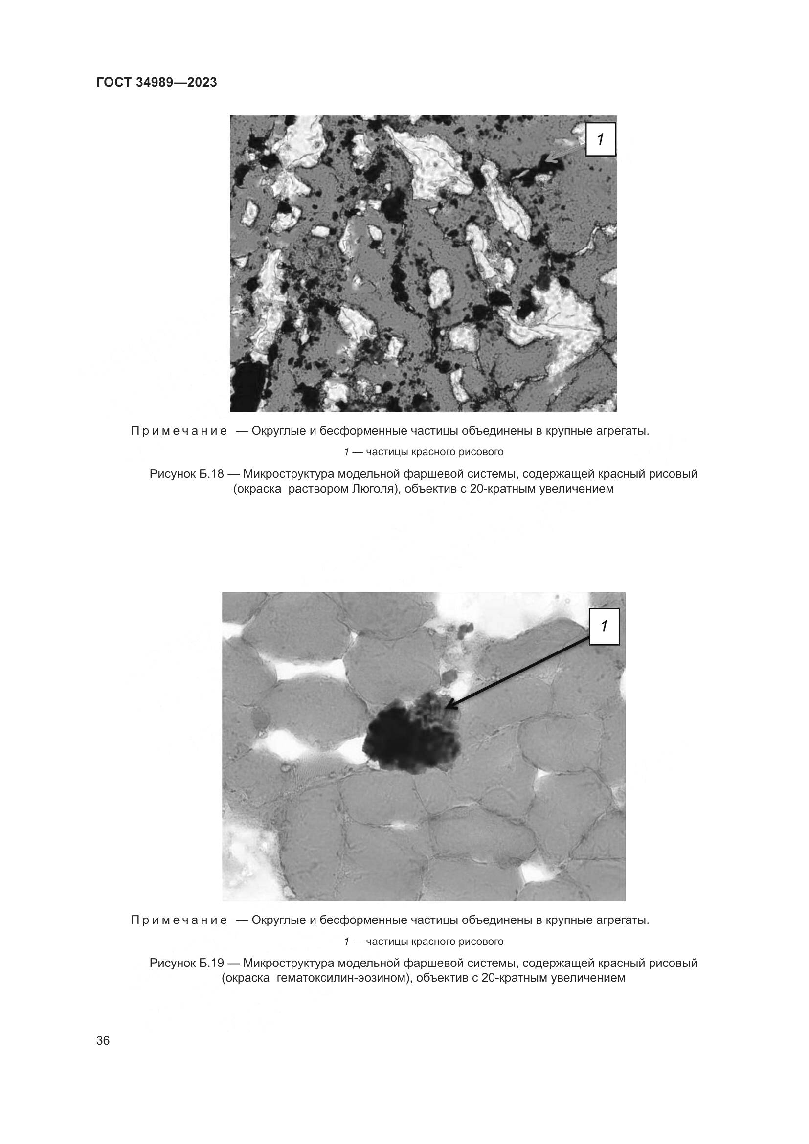 ГОСТ 34989-2023, страница 42