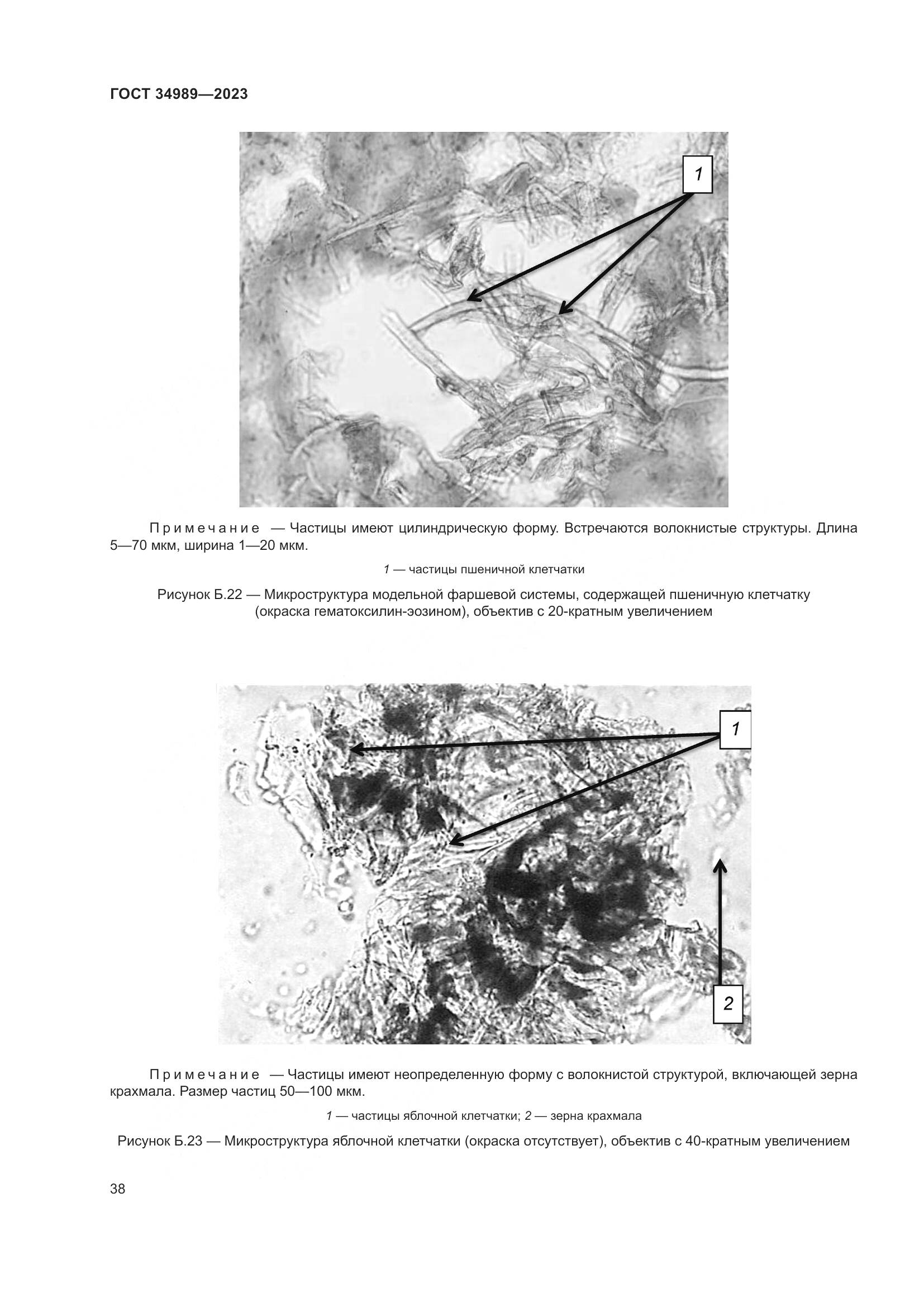 ГОСТ 34989-2023, страница 44