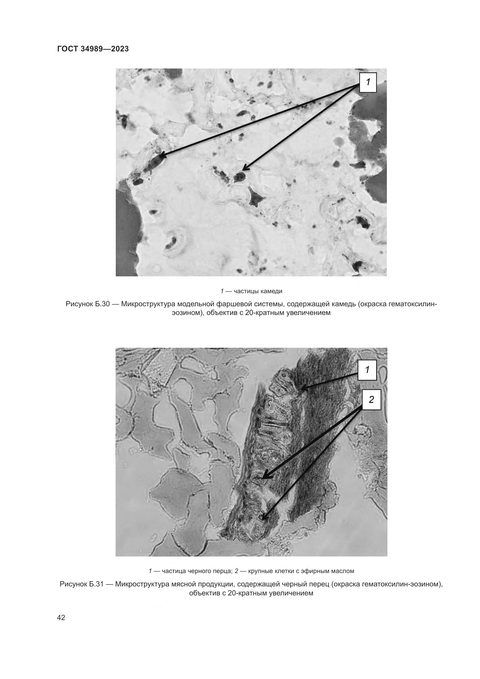 ГОСТ 34989-2023, страница 48