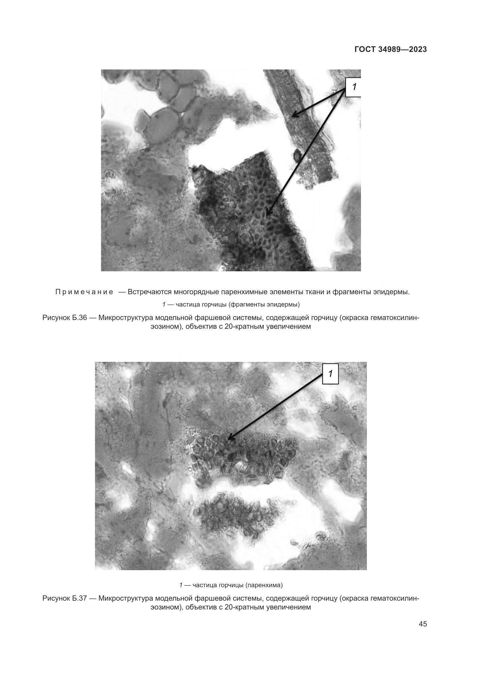 ГОСТ 34989-2023, страница 51