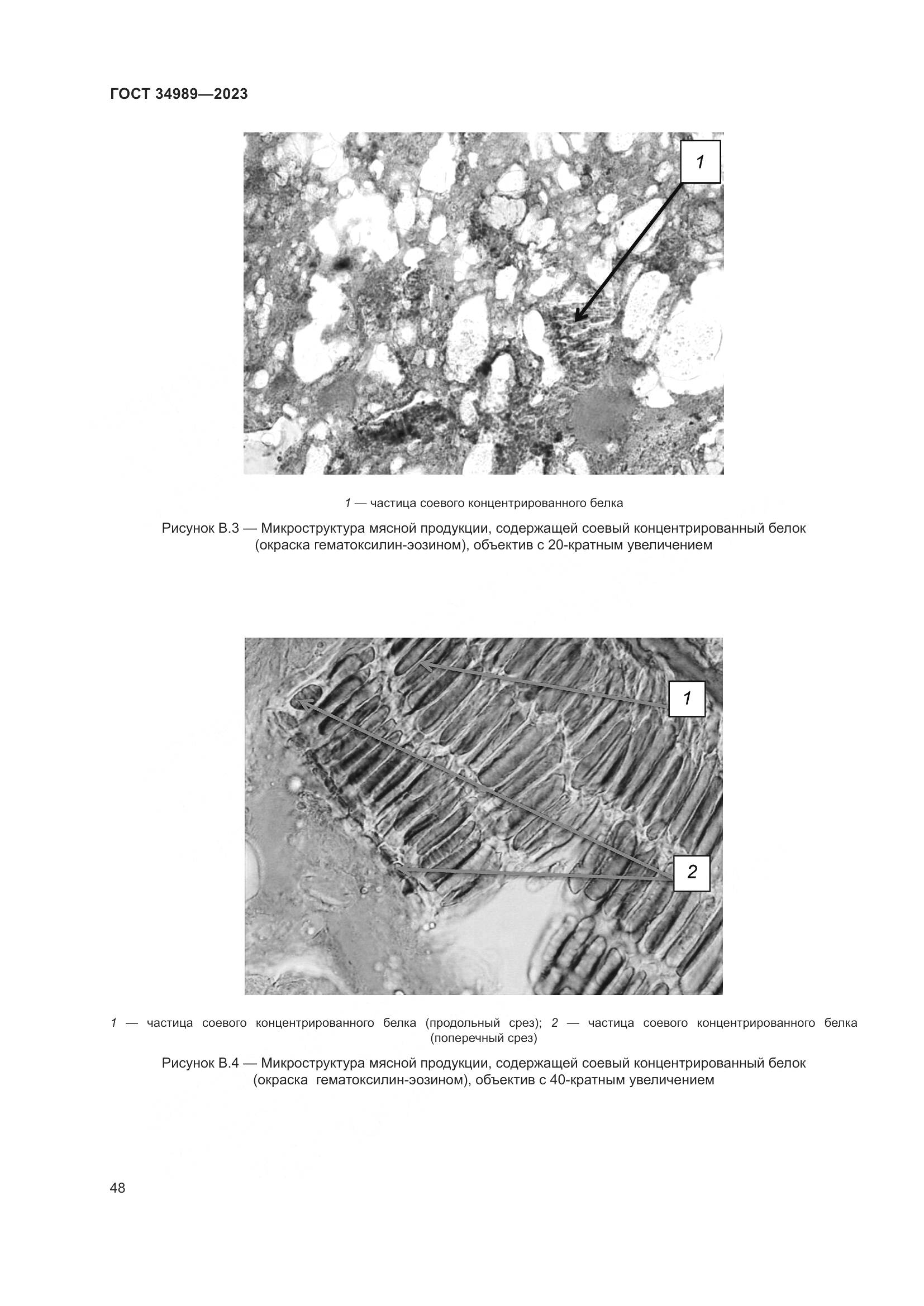 ГОСТ 34989-2023, страница 54