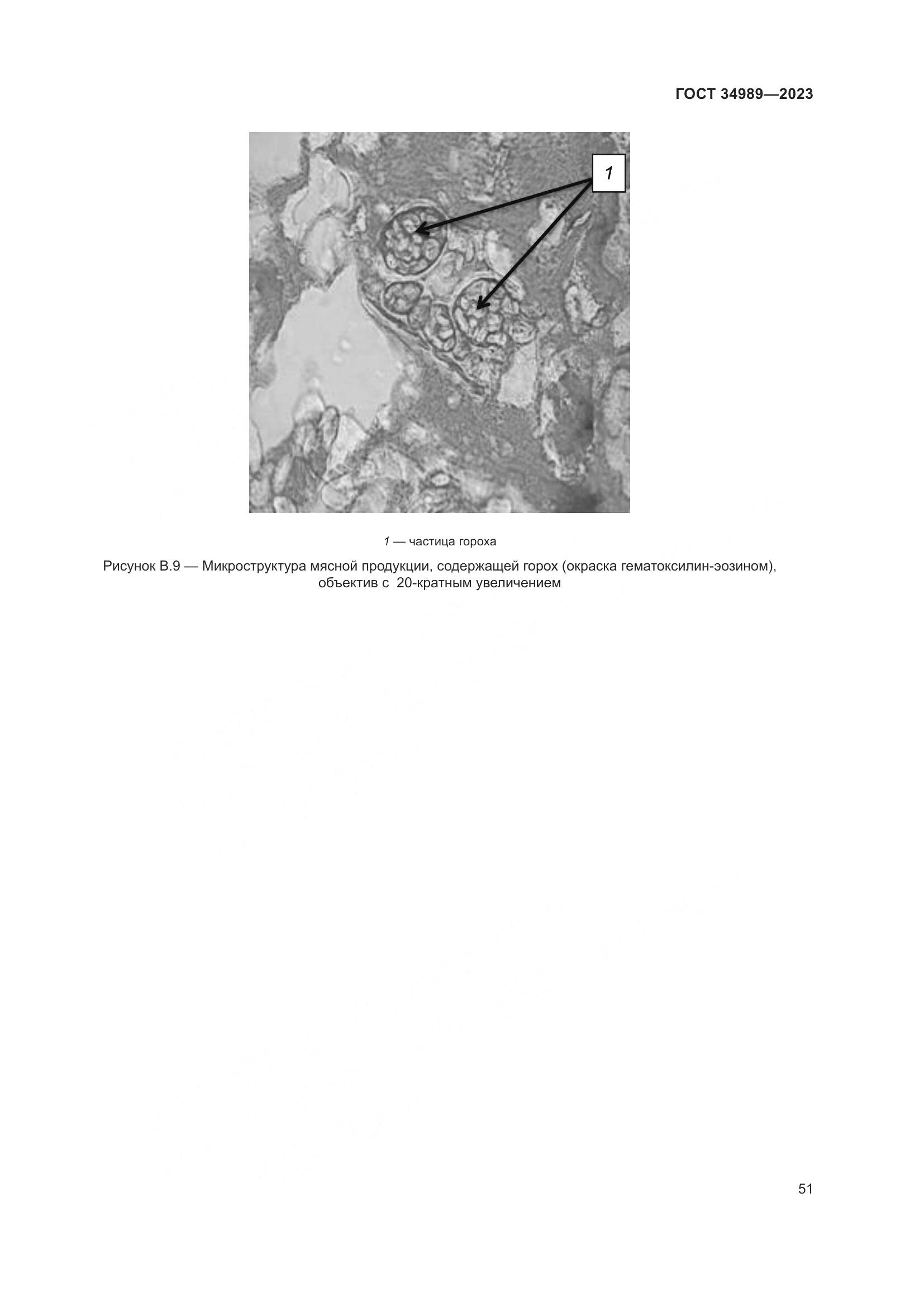 ГОСТ 34989-2023, страница 57