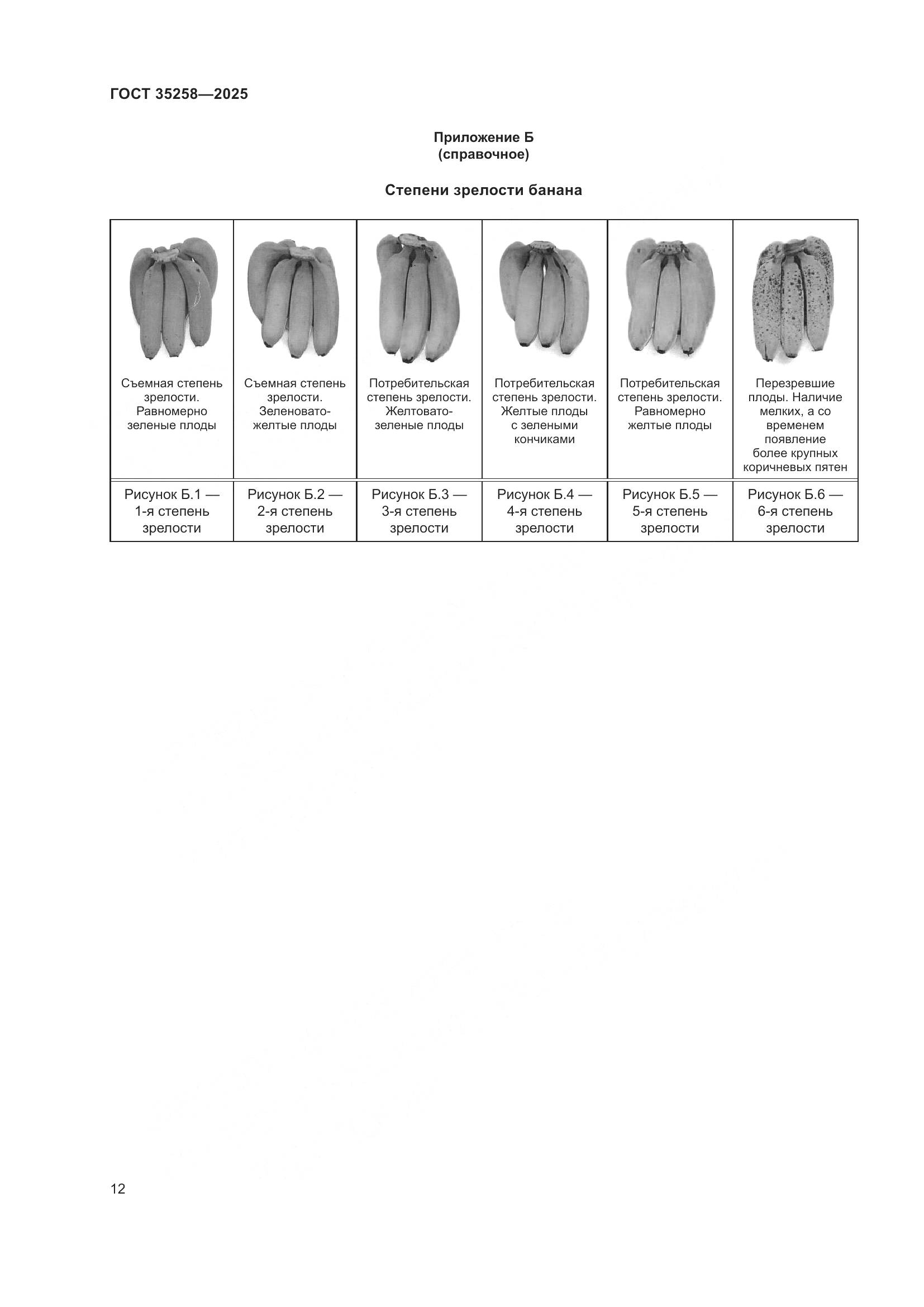 ГОСТ 35258-2025, страница 16