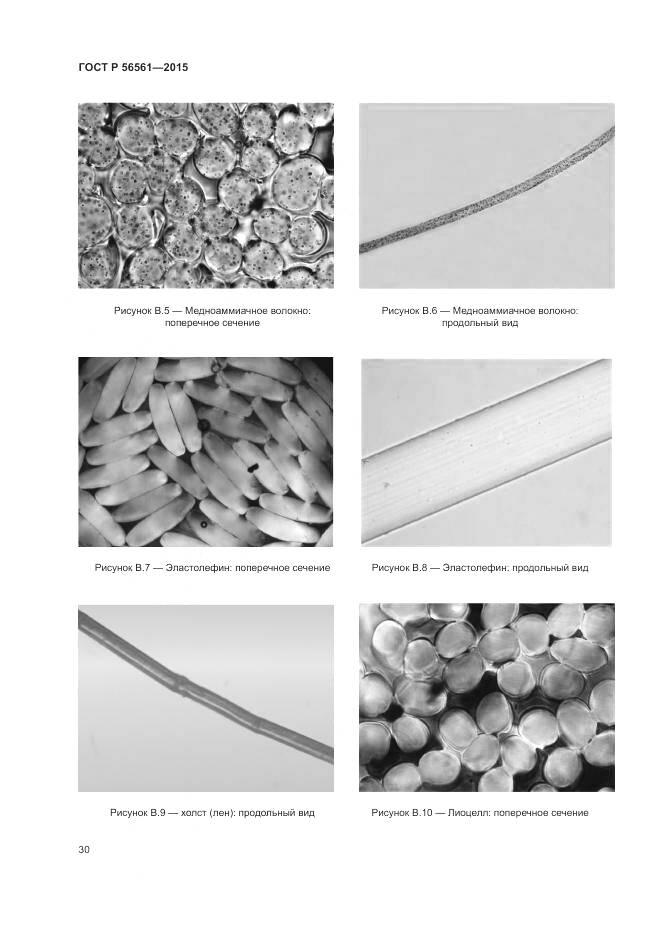 ГОСТ Р 56561-2015, страница 34