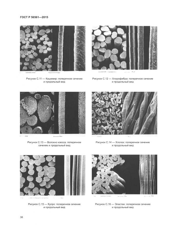 ГОСТ Р 56561-2015, страница 40