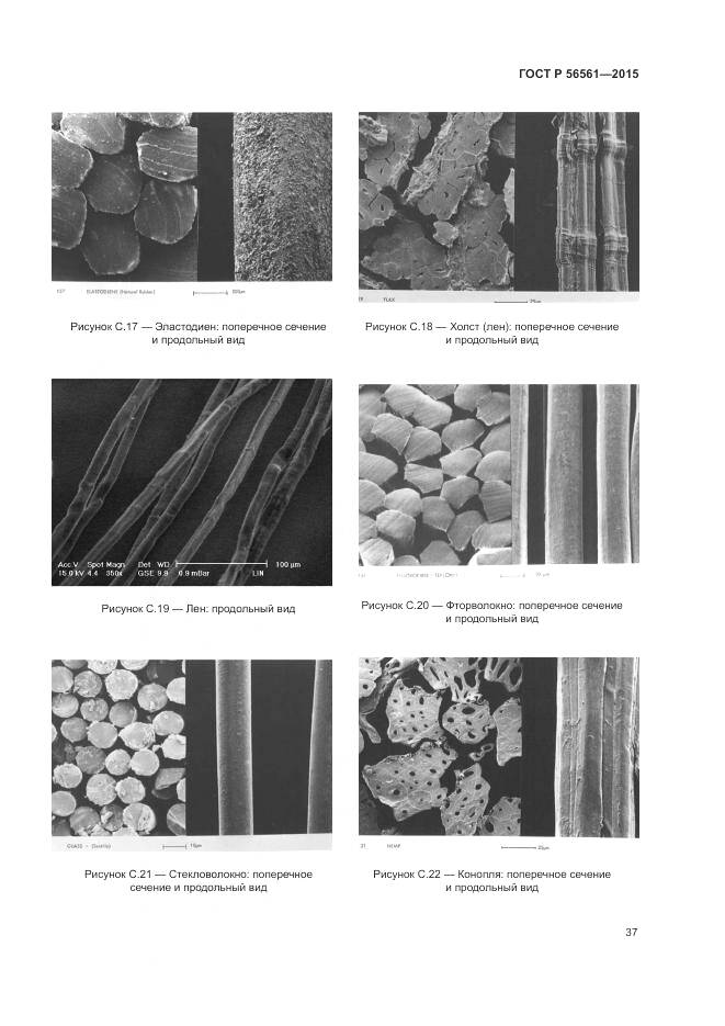 ГОСТ Р 56561-2015, страница 41