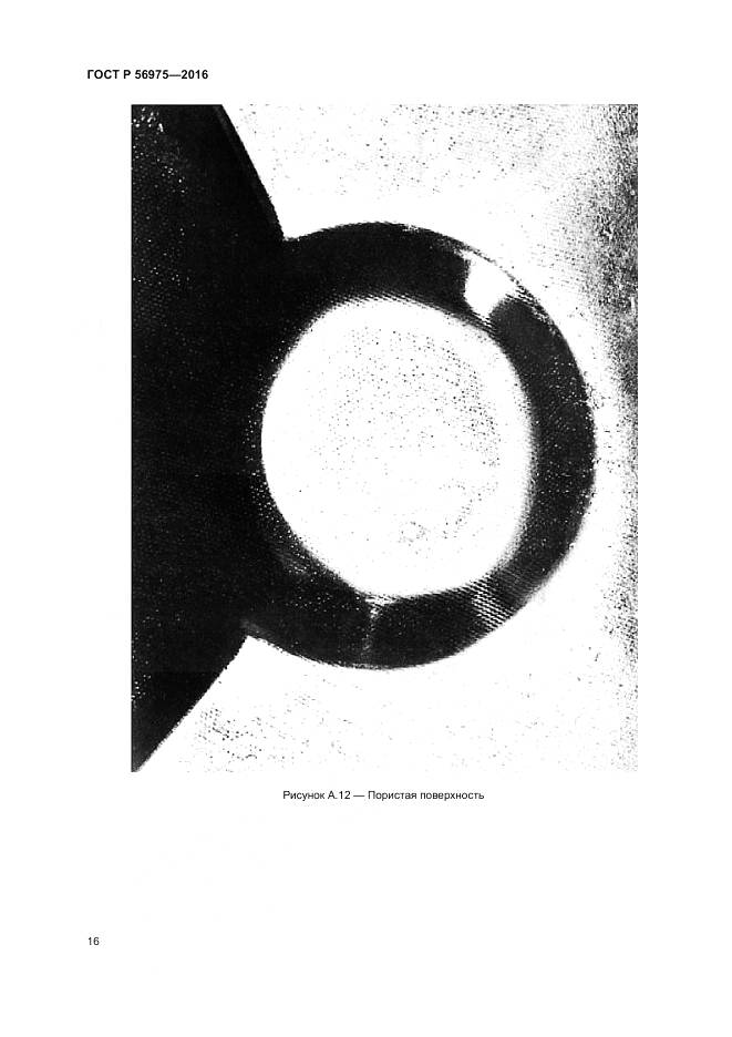 ГОСТ Р 56975-2016, страница 20