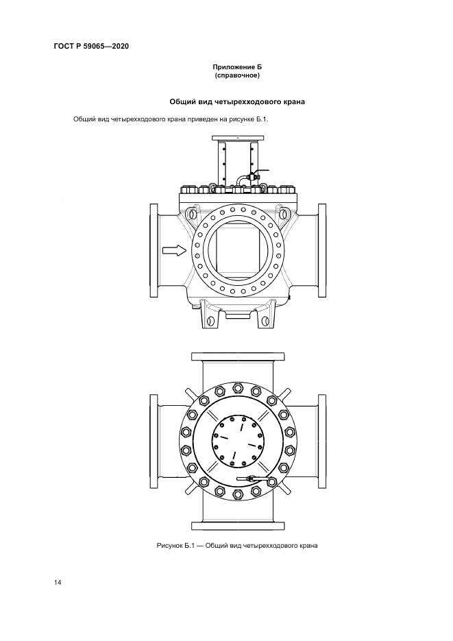 ГОСТ Р 59065-2020, страница 18