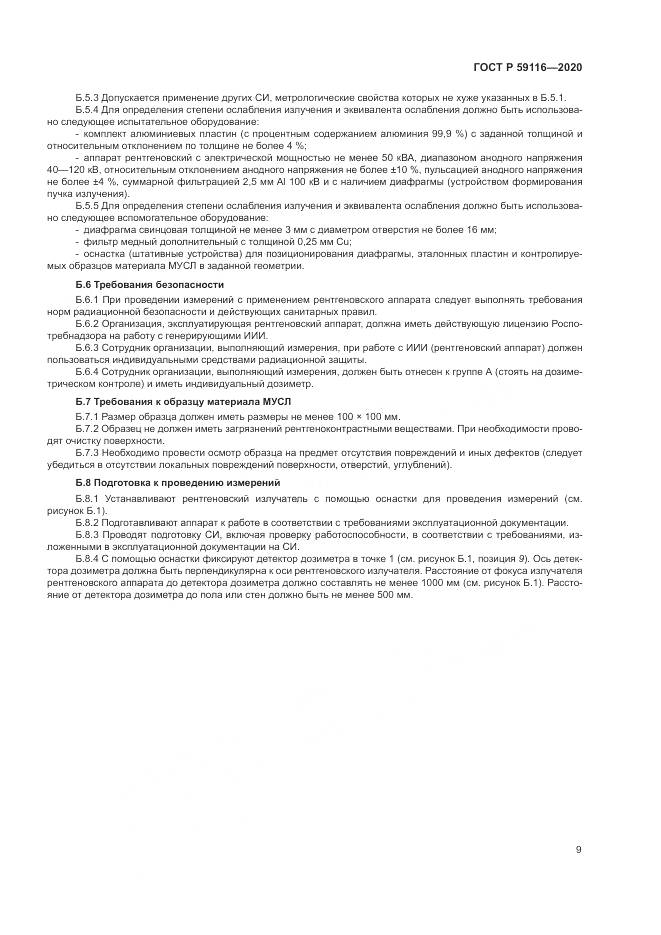 ГОСТ Р 59116-2020, страница 13