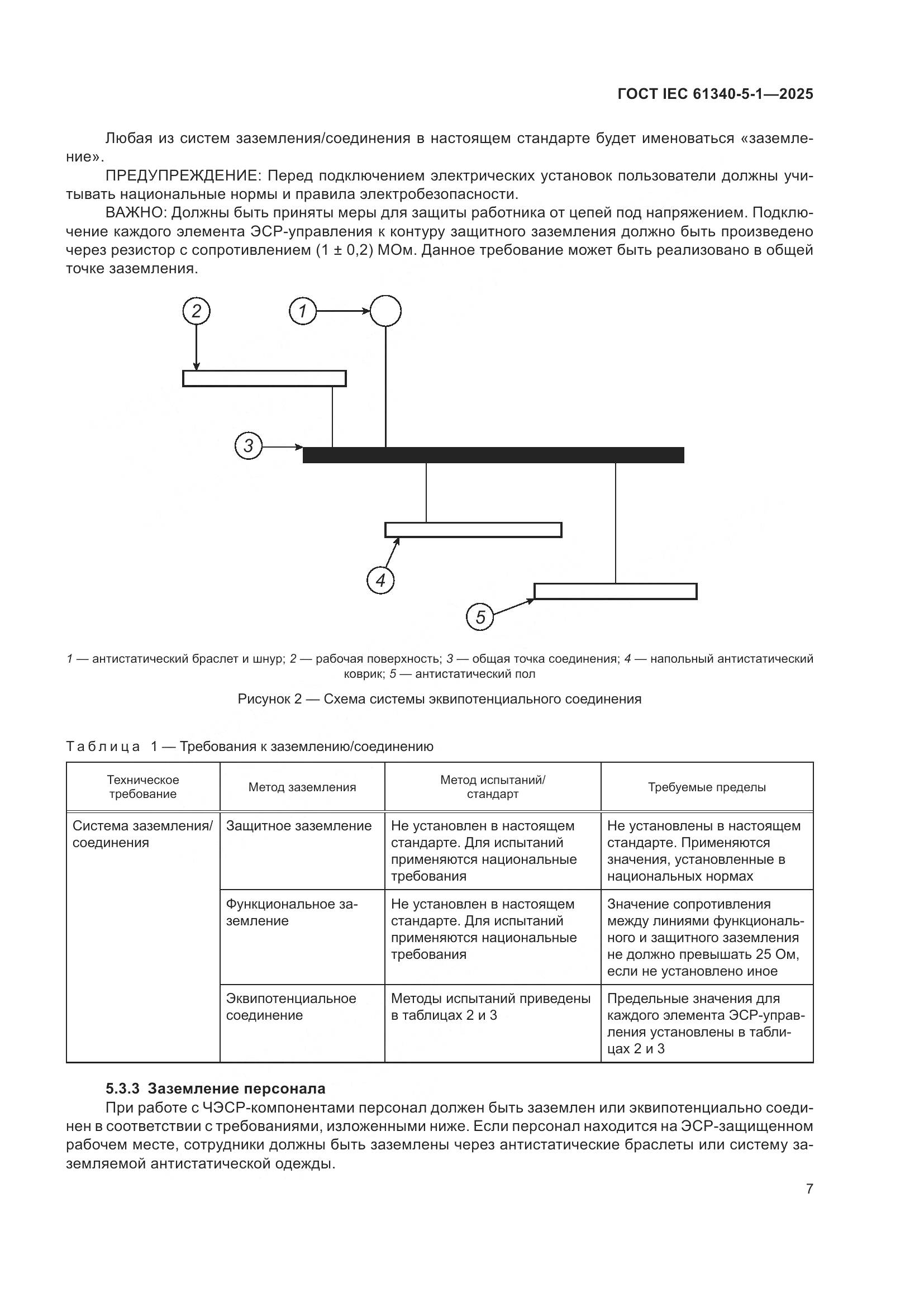 ГОСТ IEC 61340-5-1-2025, страница 13