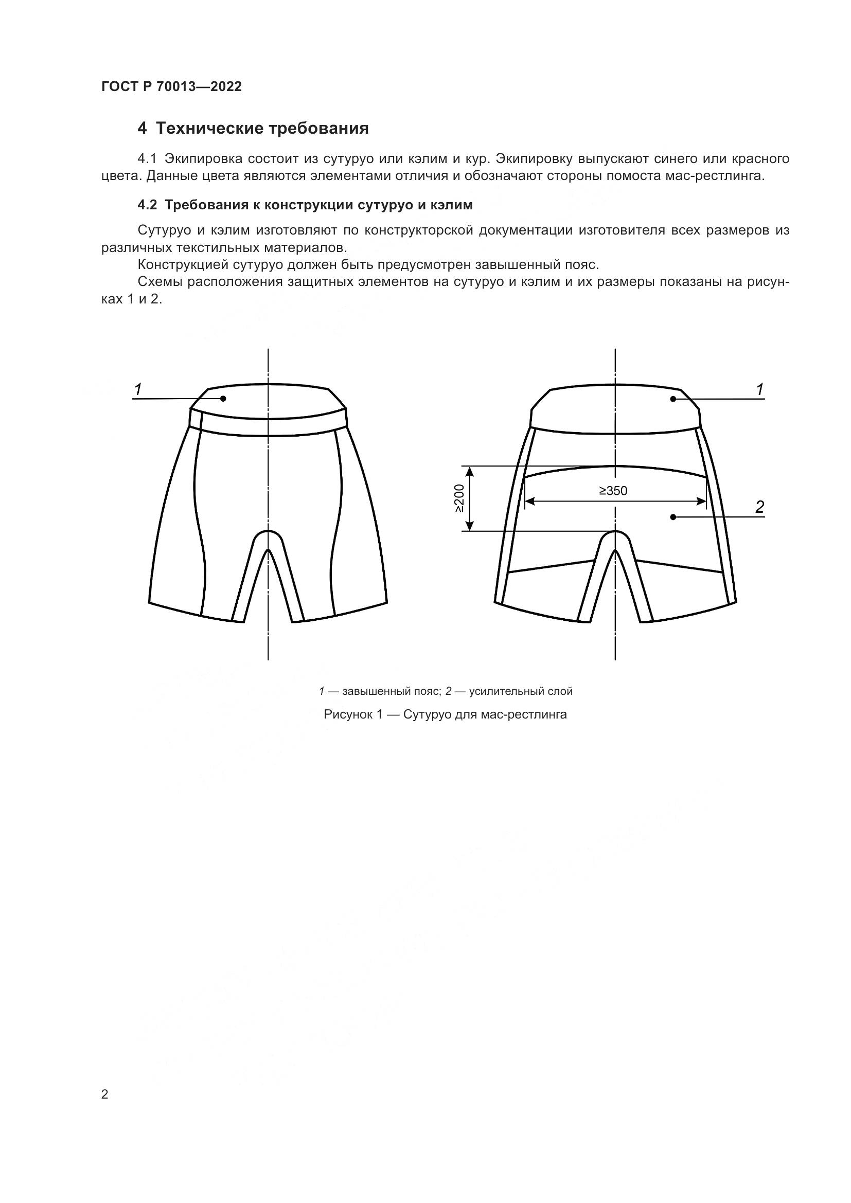 ГОСТ Р 70013-2022, страница 4