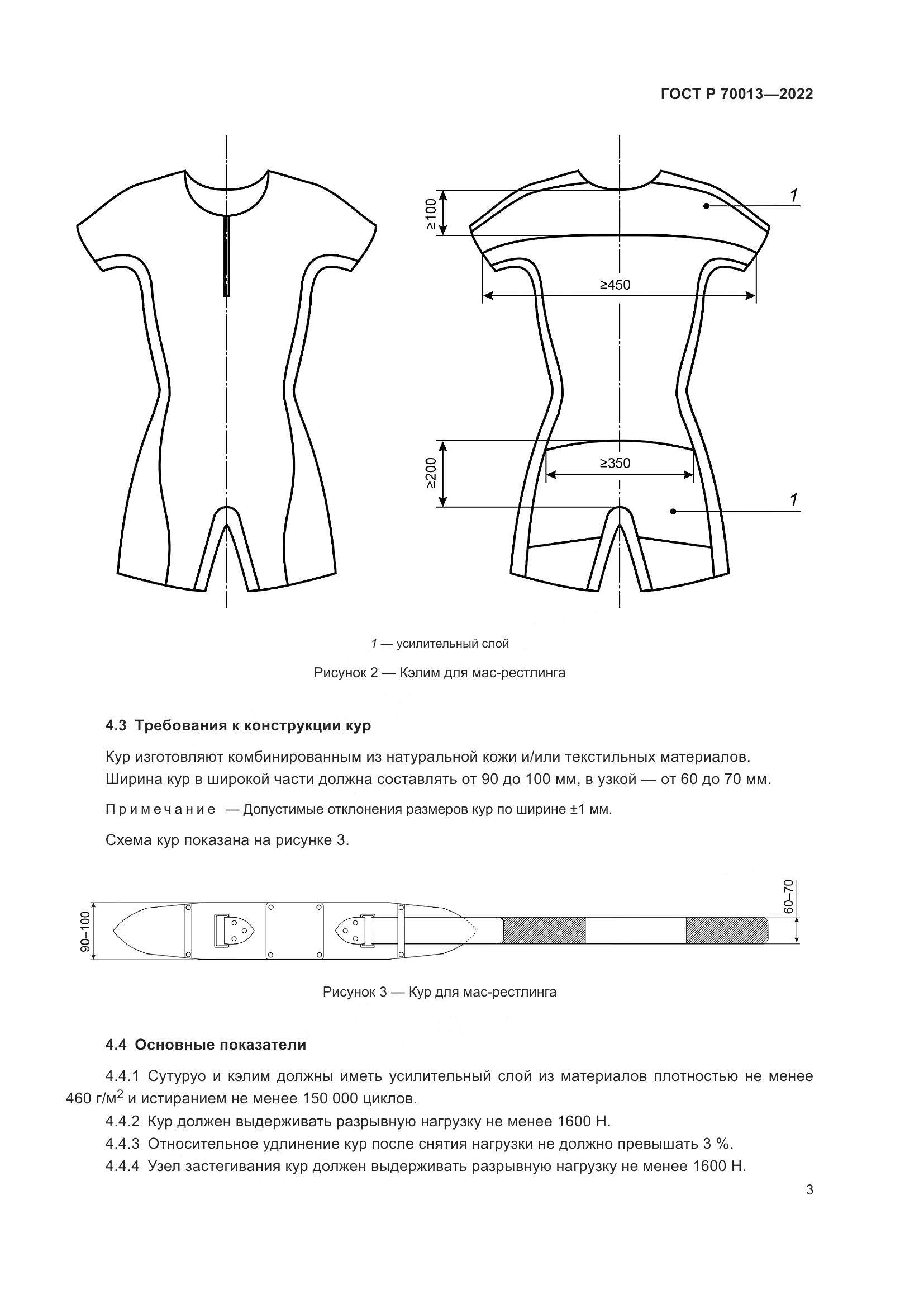 ГОСТ Р 70013-2022, страница 5