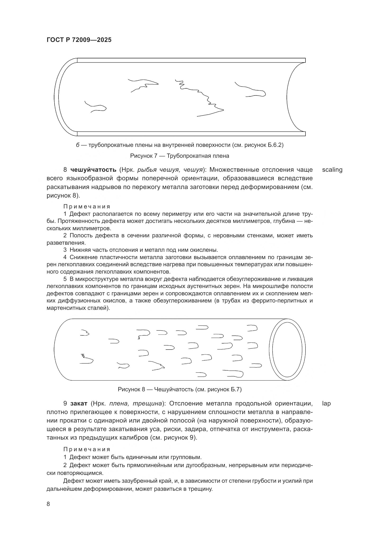 ГОСТ Р 72009-2025, страница 12