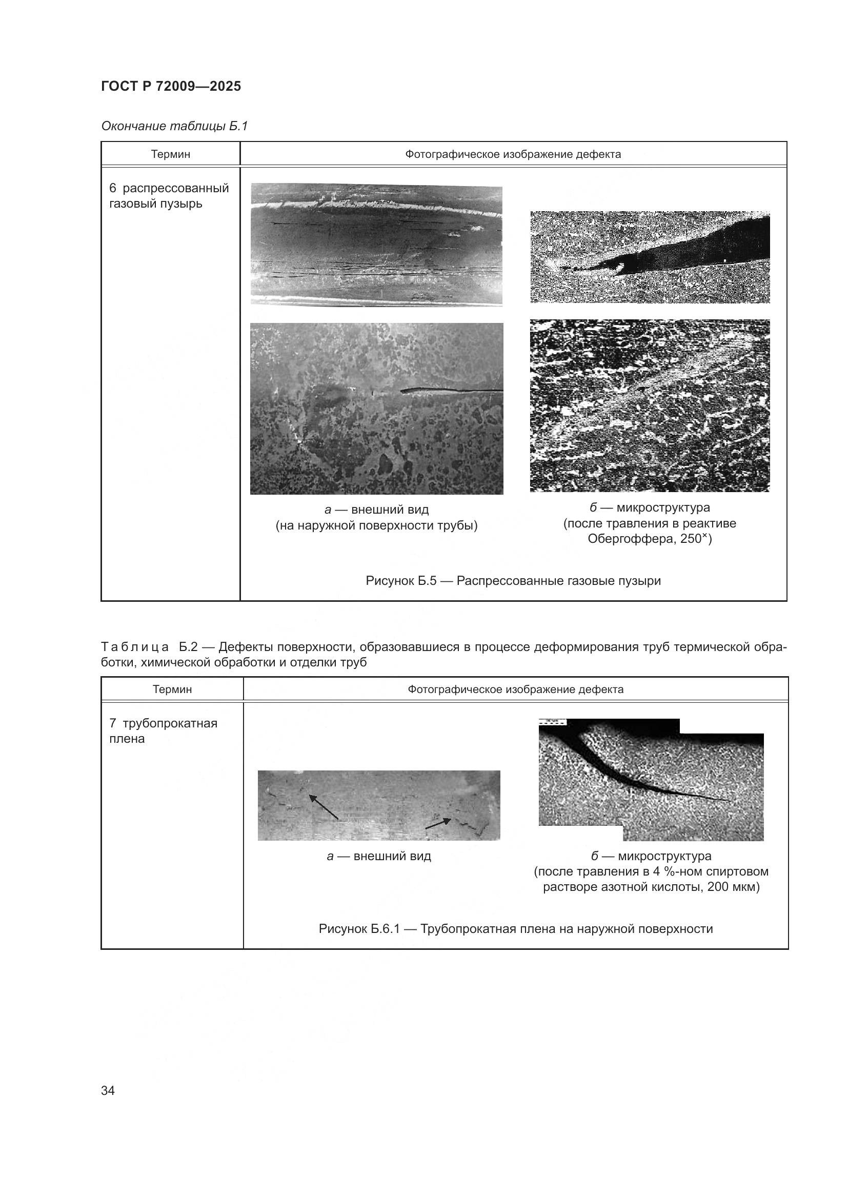 ГОСТ Р 72009-2025, страница 38