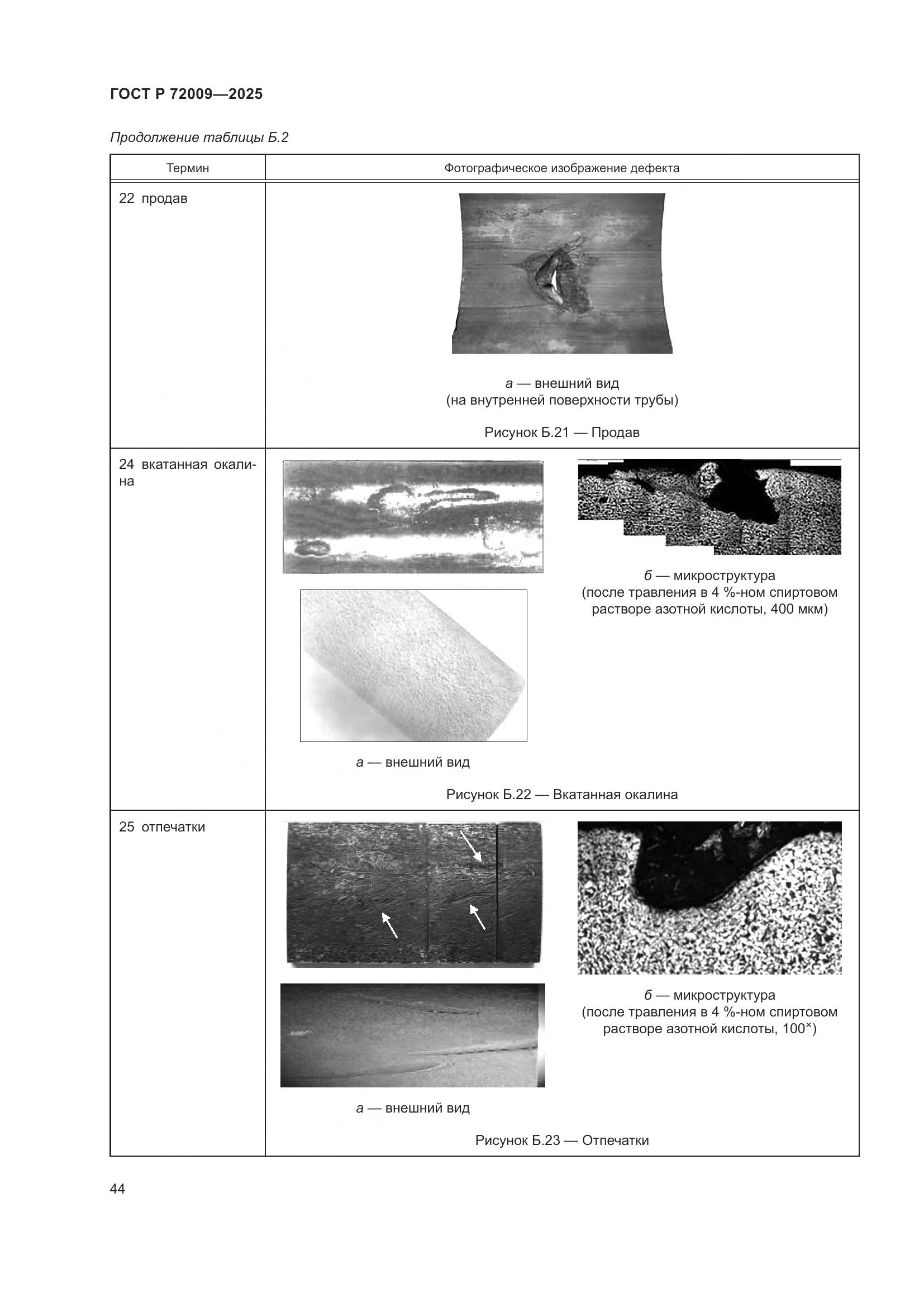 ГОСТ Р 72009-2025, страница 48