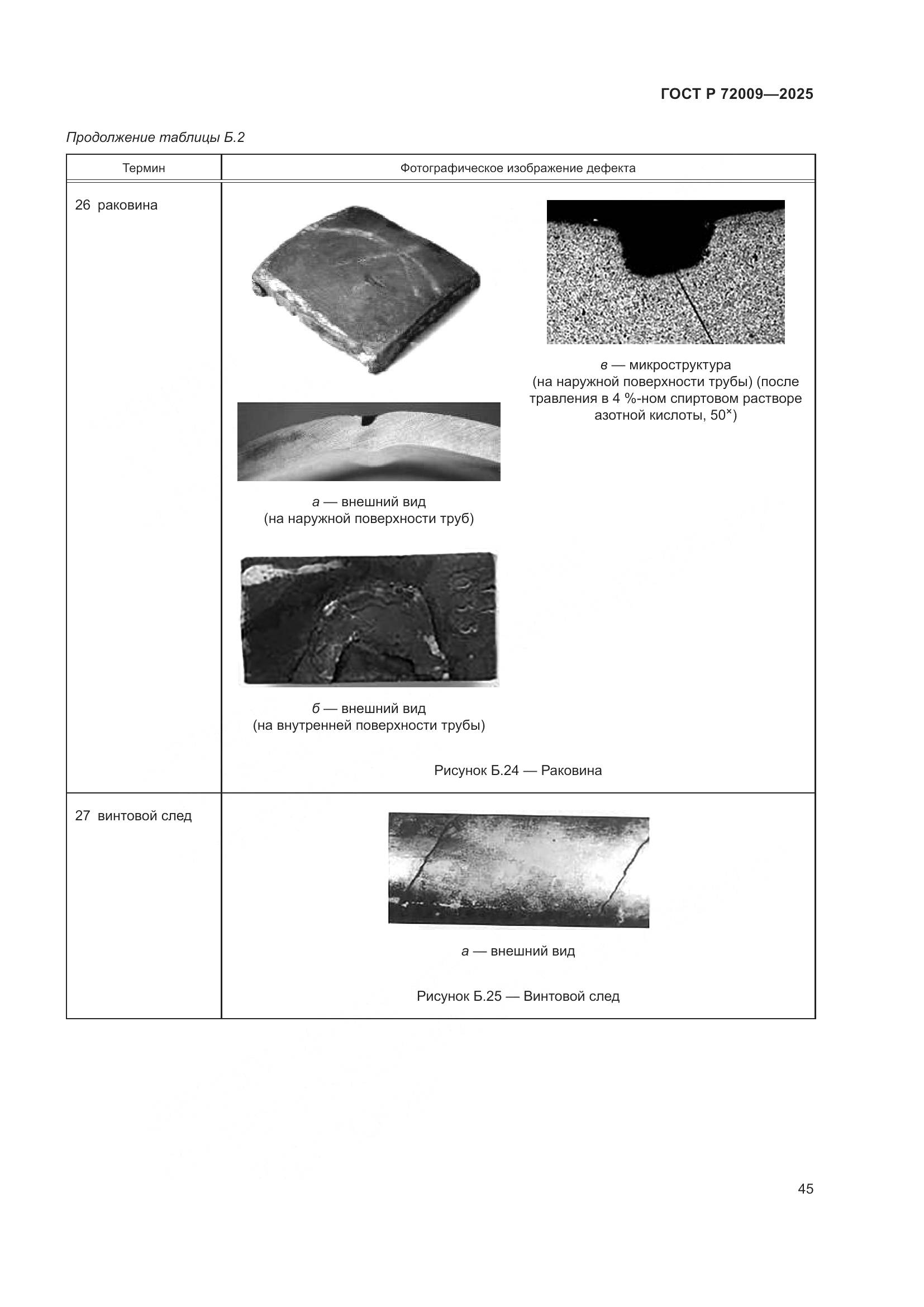 ГОСТ Р 72009-2025, страница 49