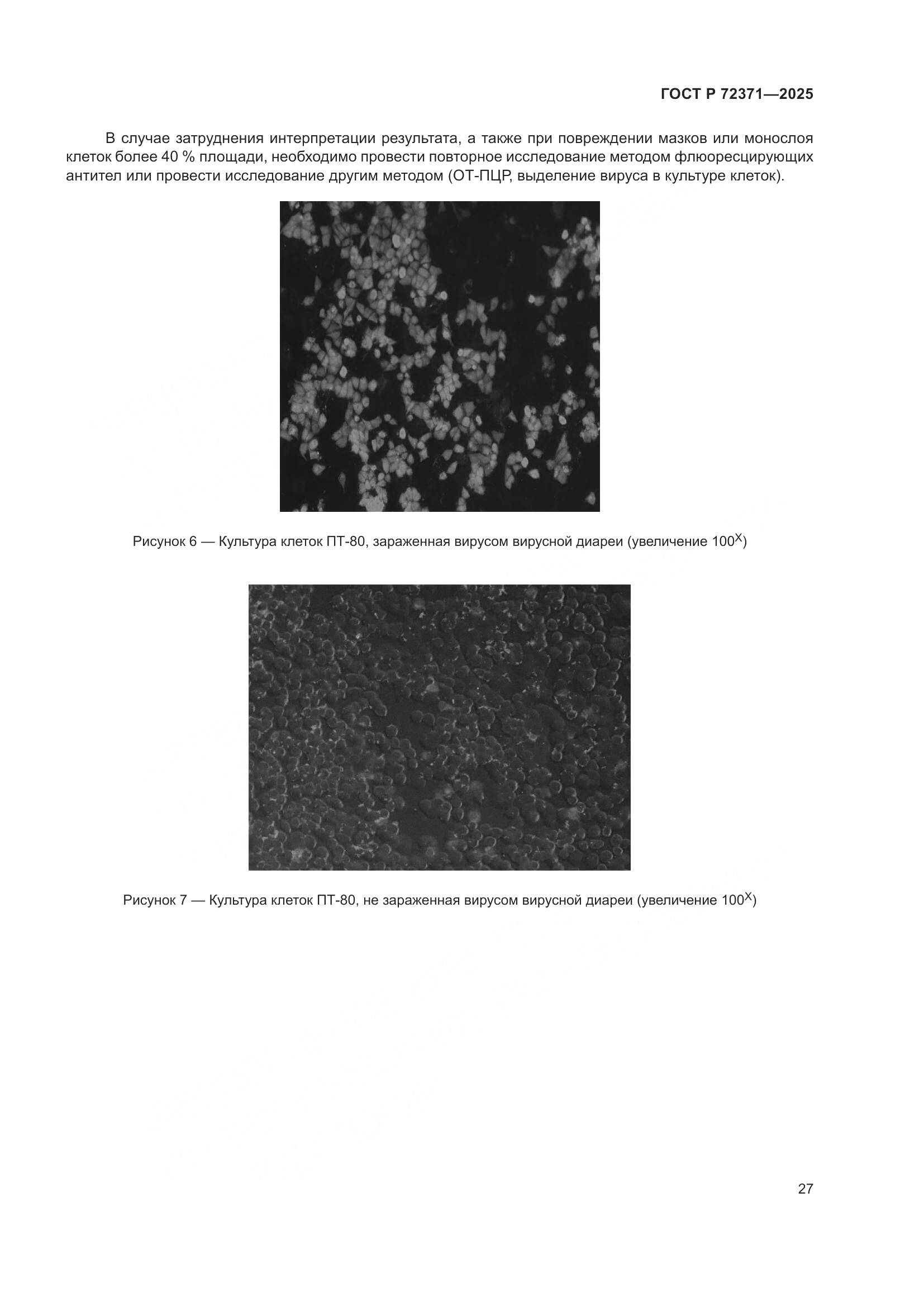 ГОСТ Р 72371-2025, страница 31
