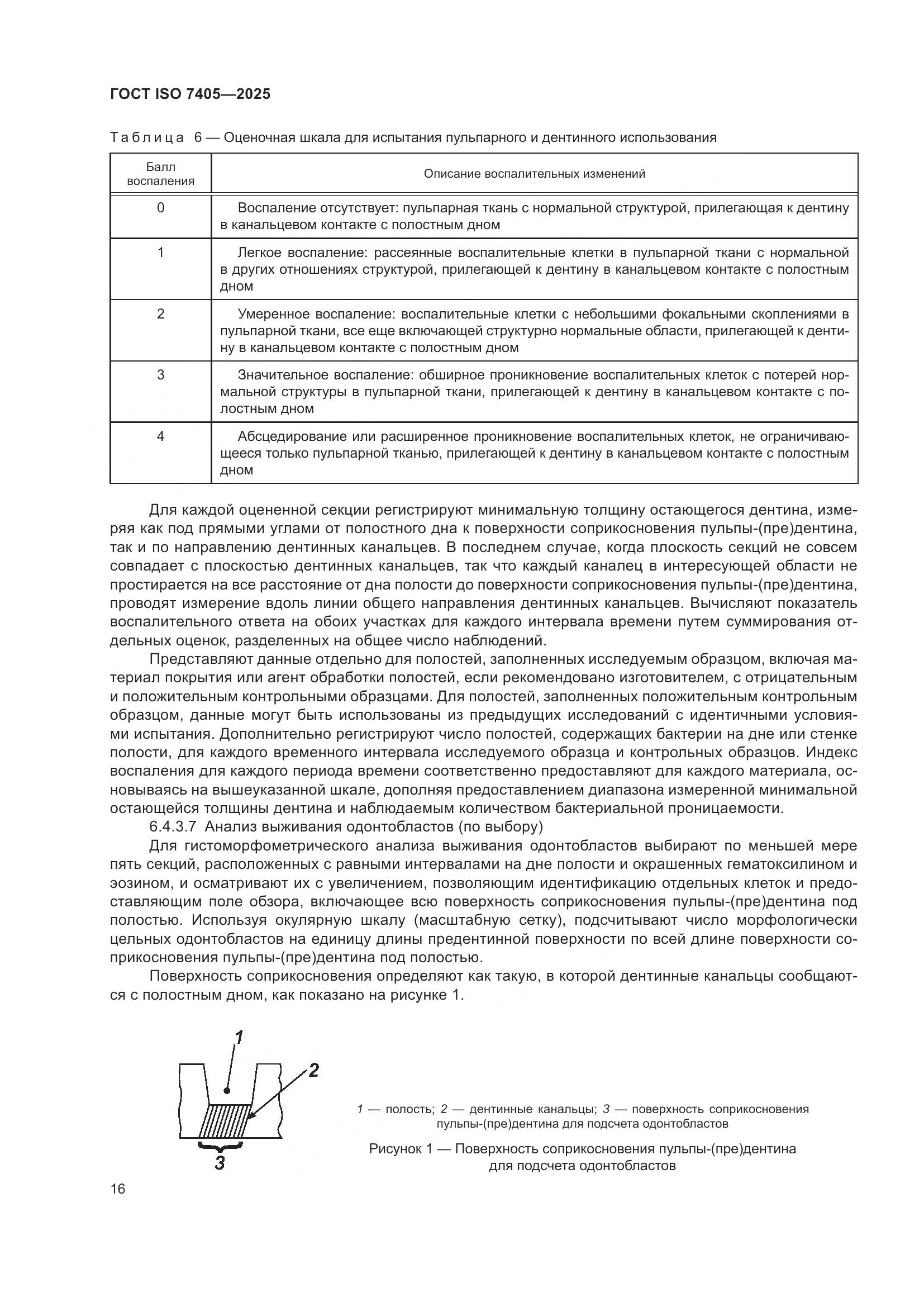 ГОСТ ISO 7405-2025, страница 20